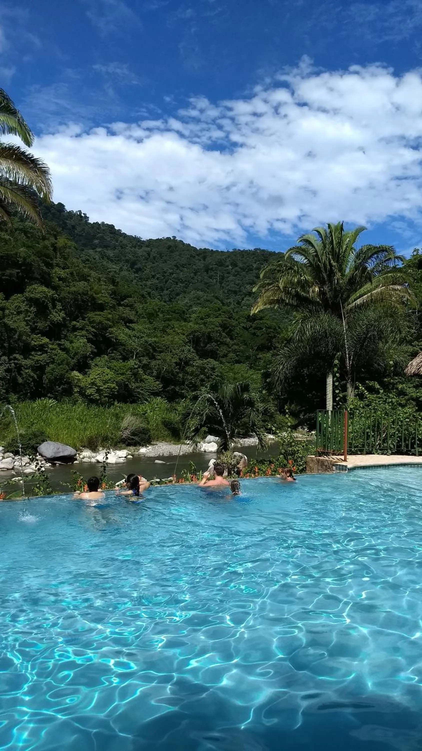 Animals in Villas Pico Bonito