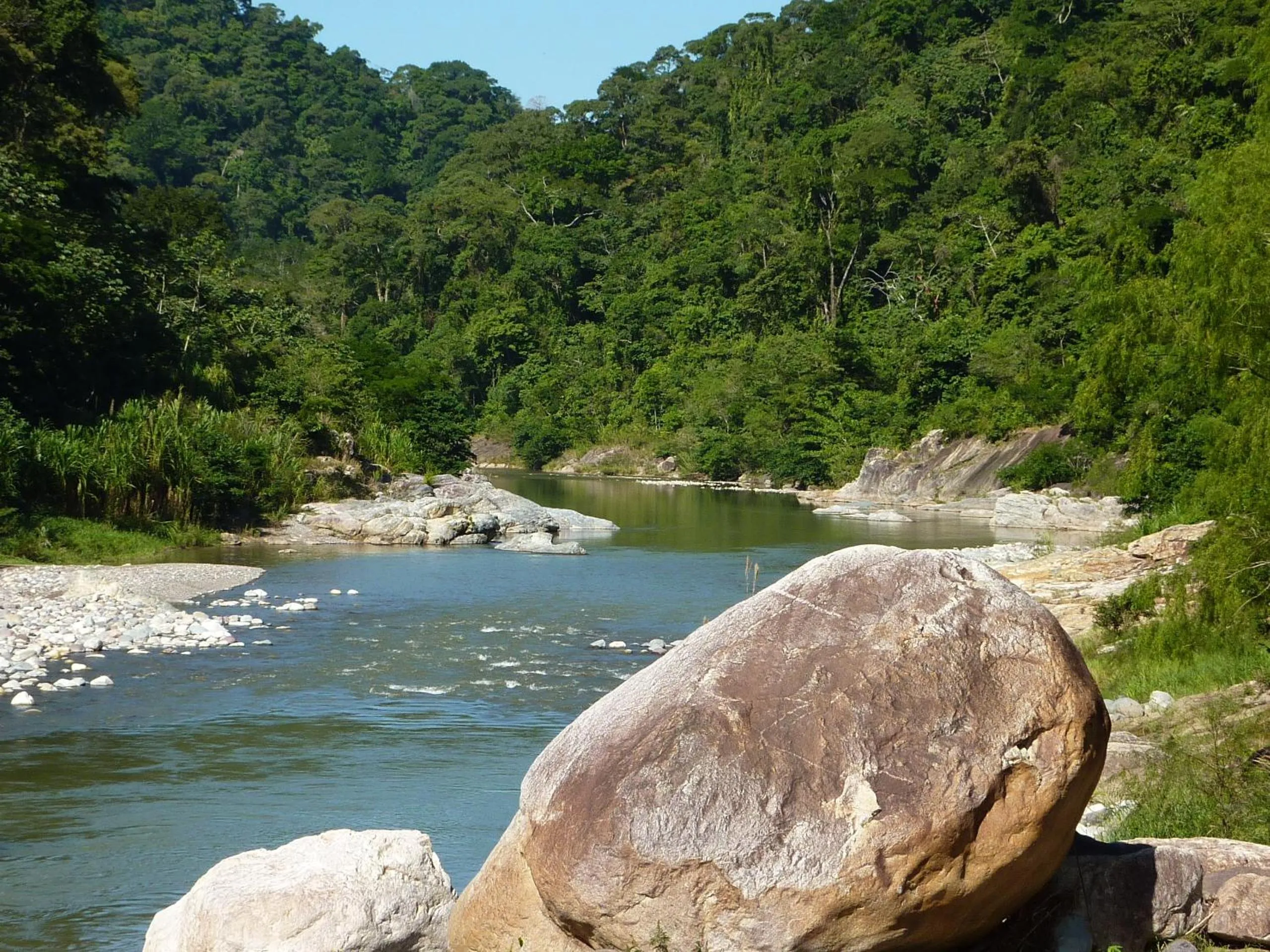 River view in Villas Pico Bonito