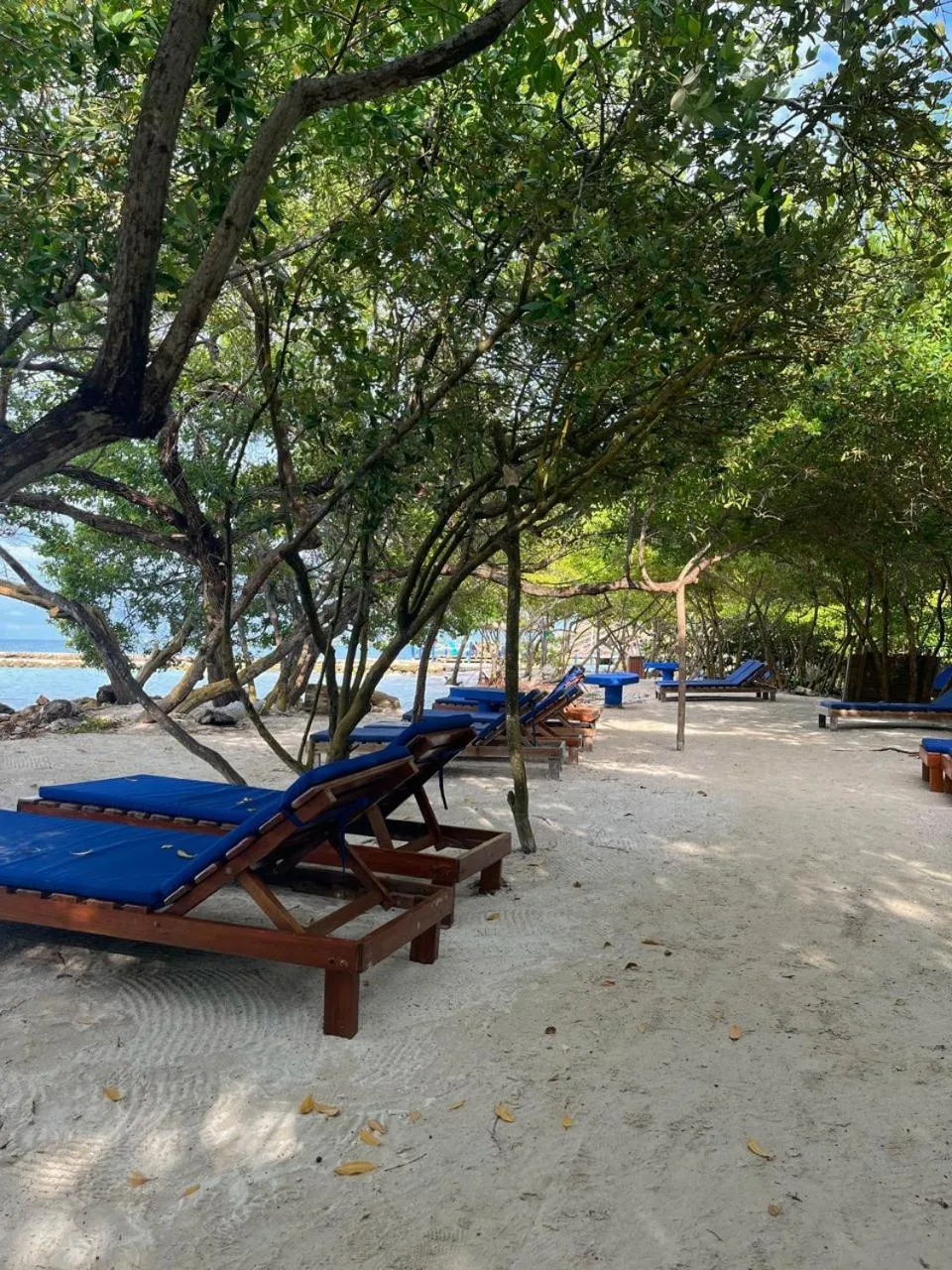 Sea view in Múcura Club Hotel