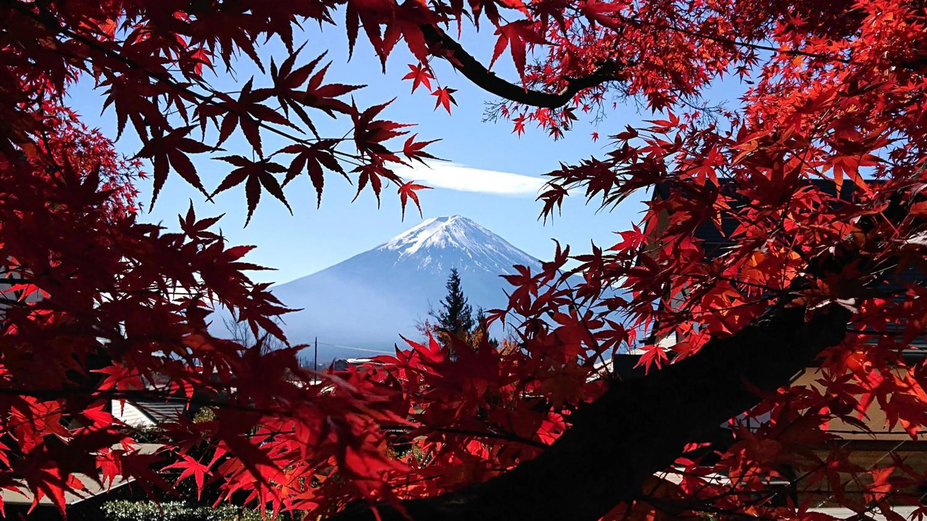 Autumn in Lake Villa Kawaguchiko