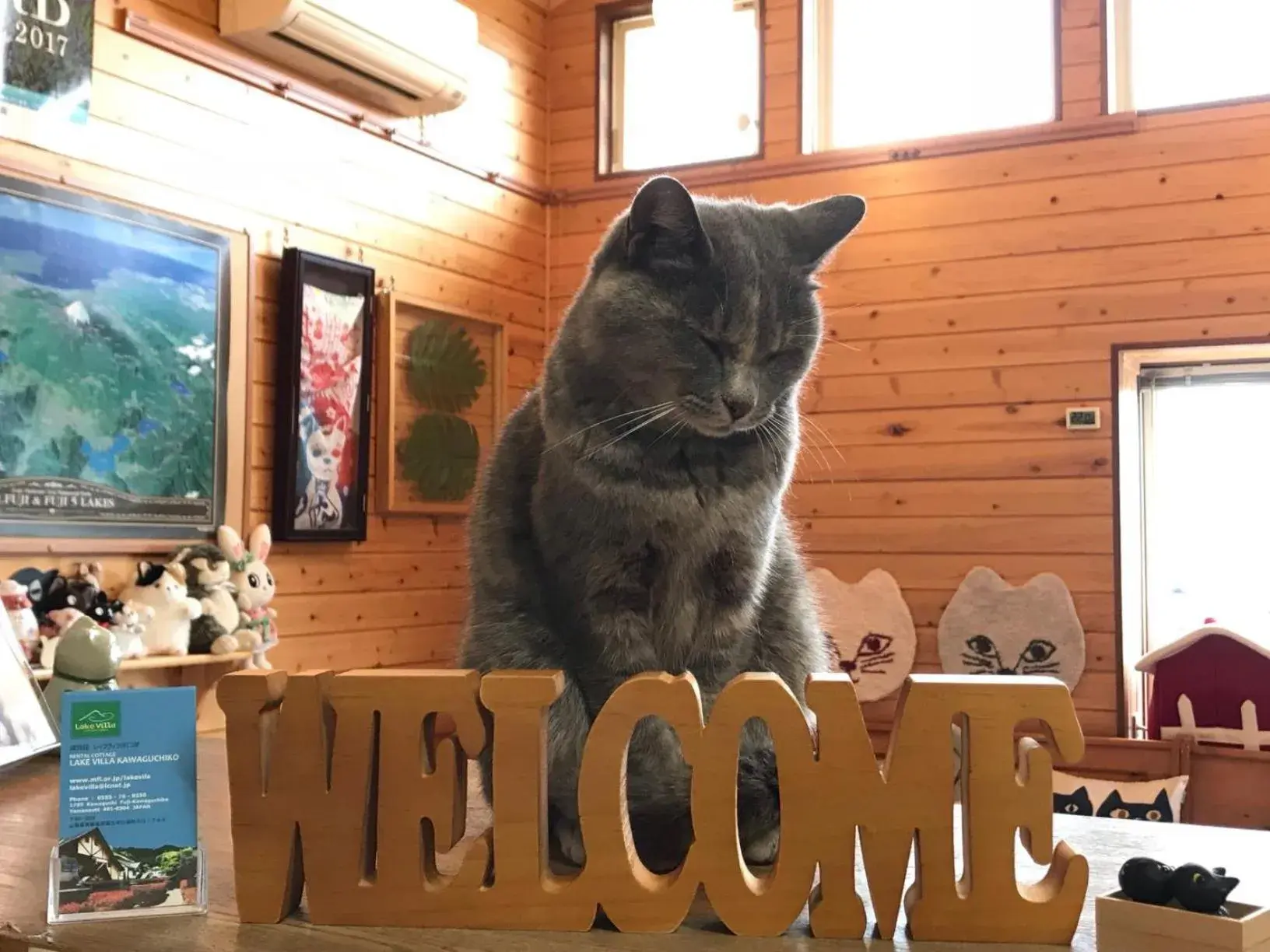 Lobby or reception in Lake Villa Kawaguchiko Lobby or reception in Lake Villa Kawaguchiko