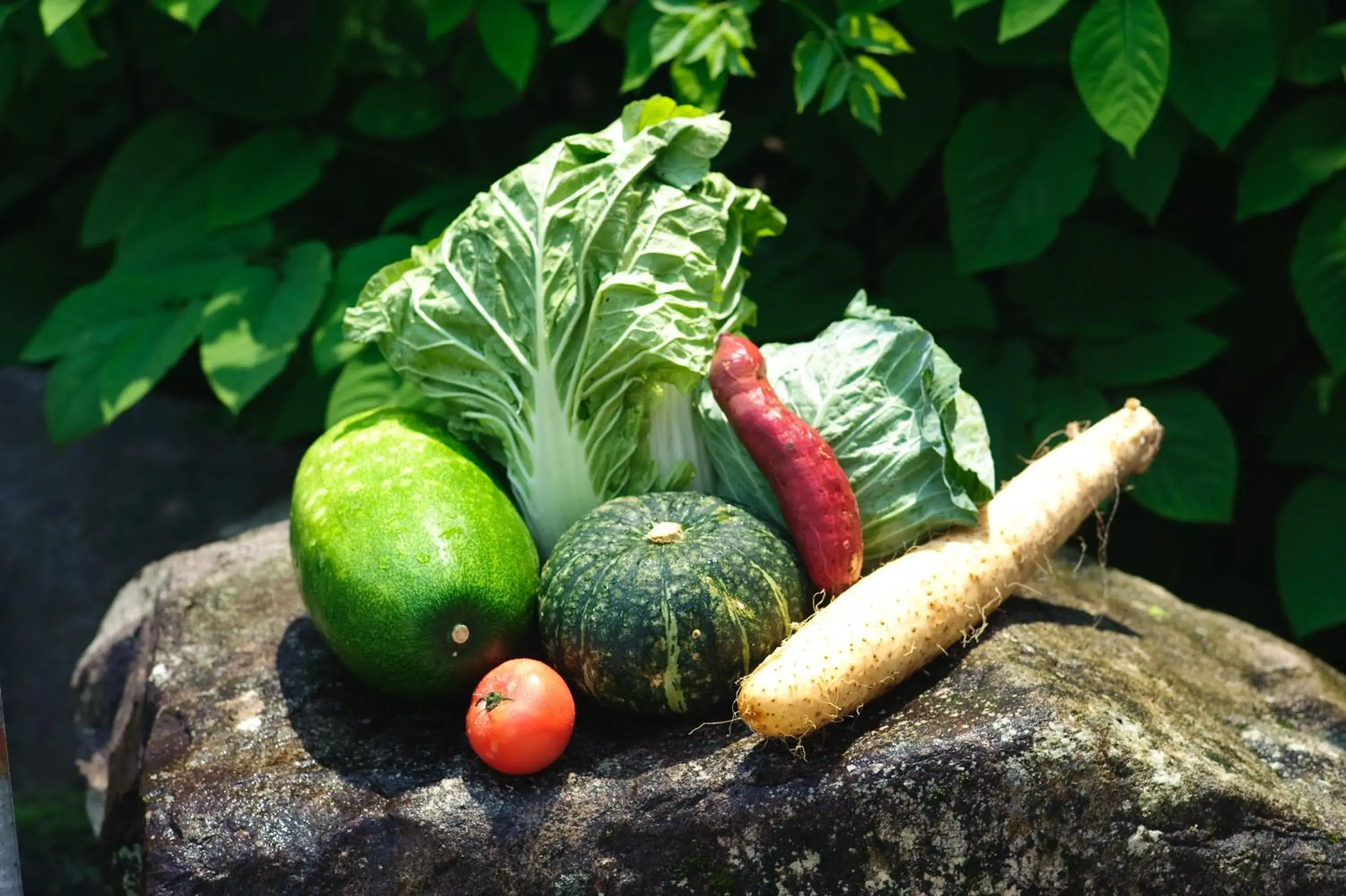 Food in Yuzawa New Otani Food in Yuzawa New Otani