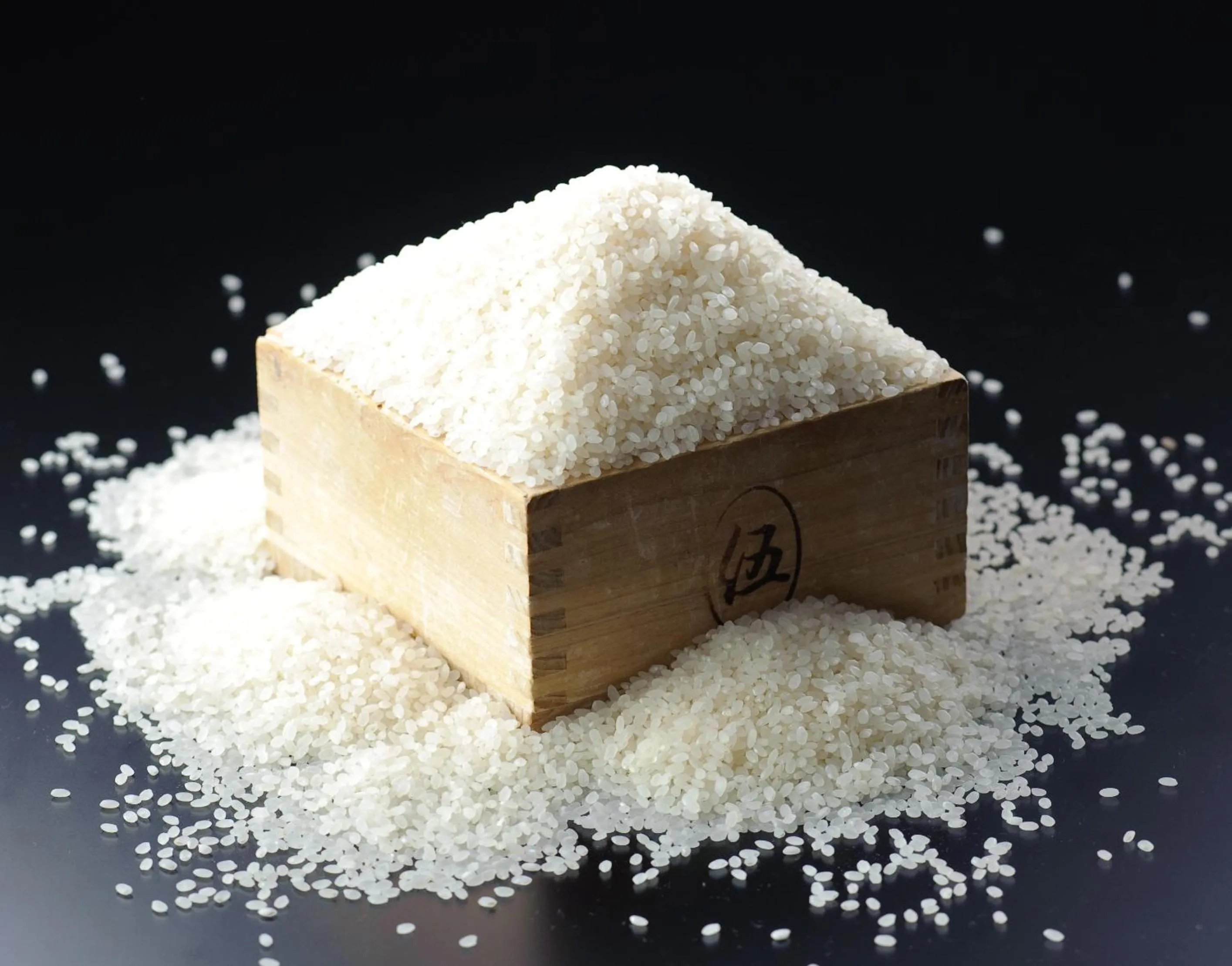 Food in Yuzawa New Otani