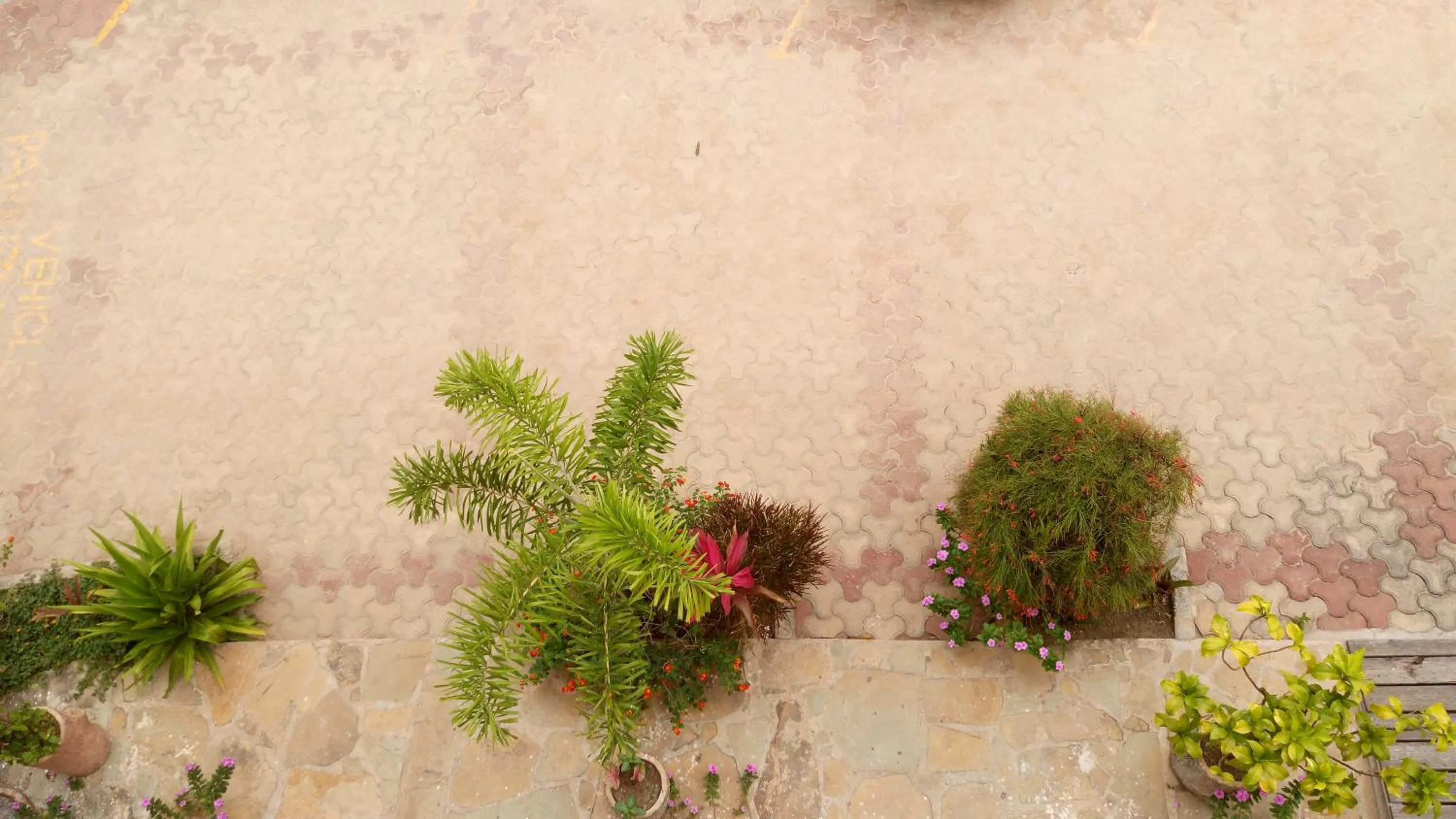 Garden in Jacyjoka Apartments Nyali