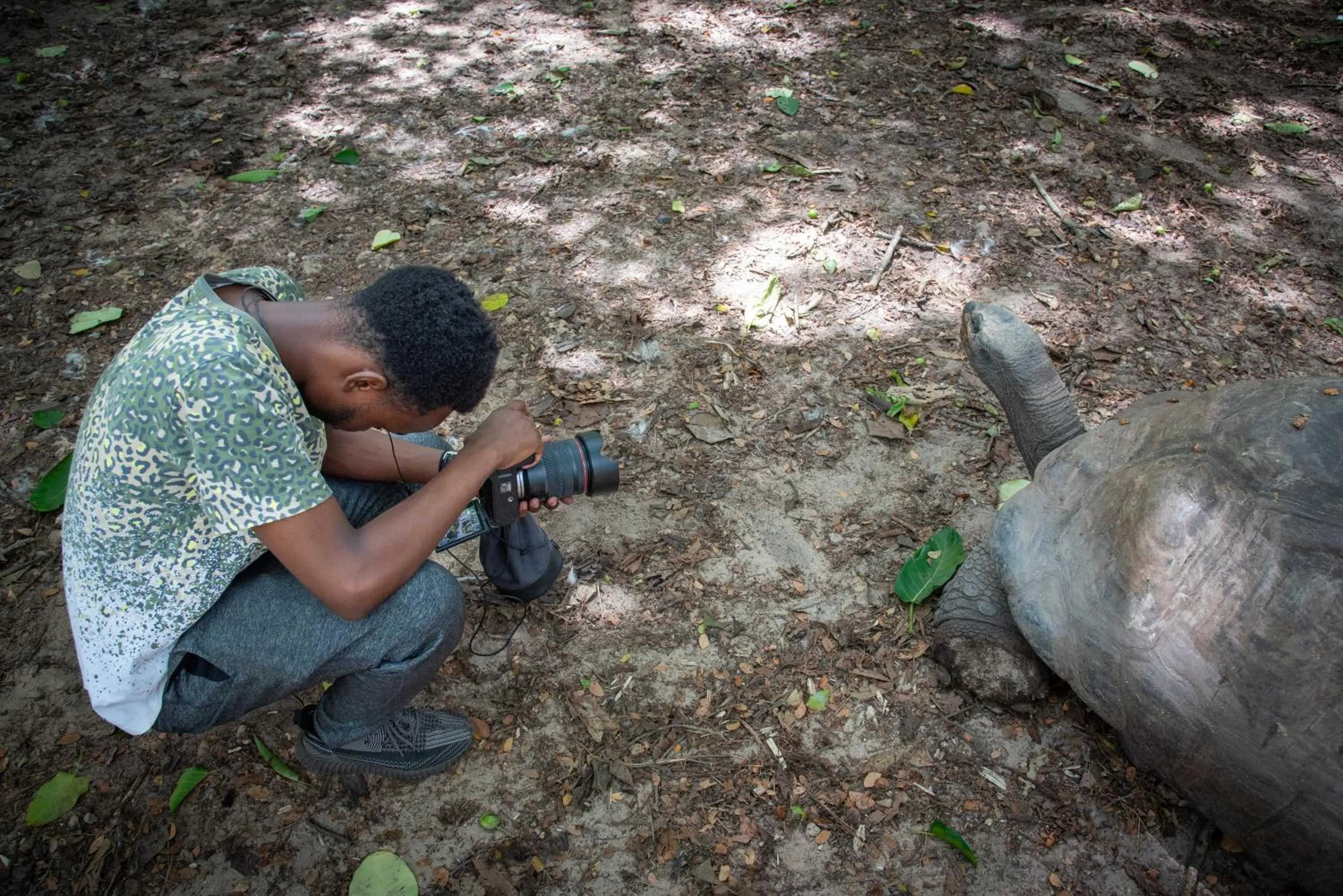 Animals in Jacyjoka Apartments Nyali