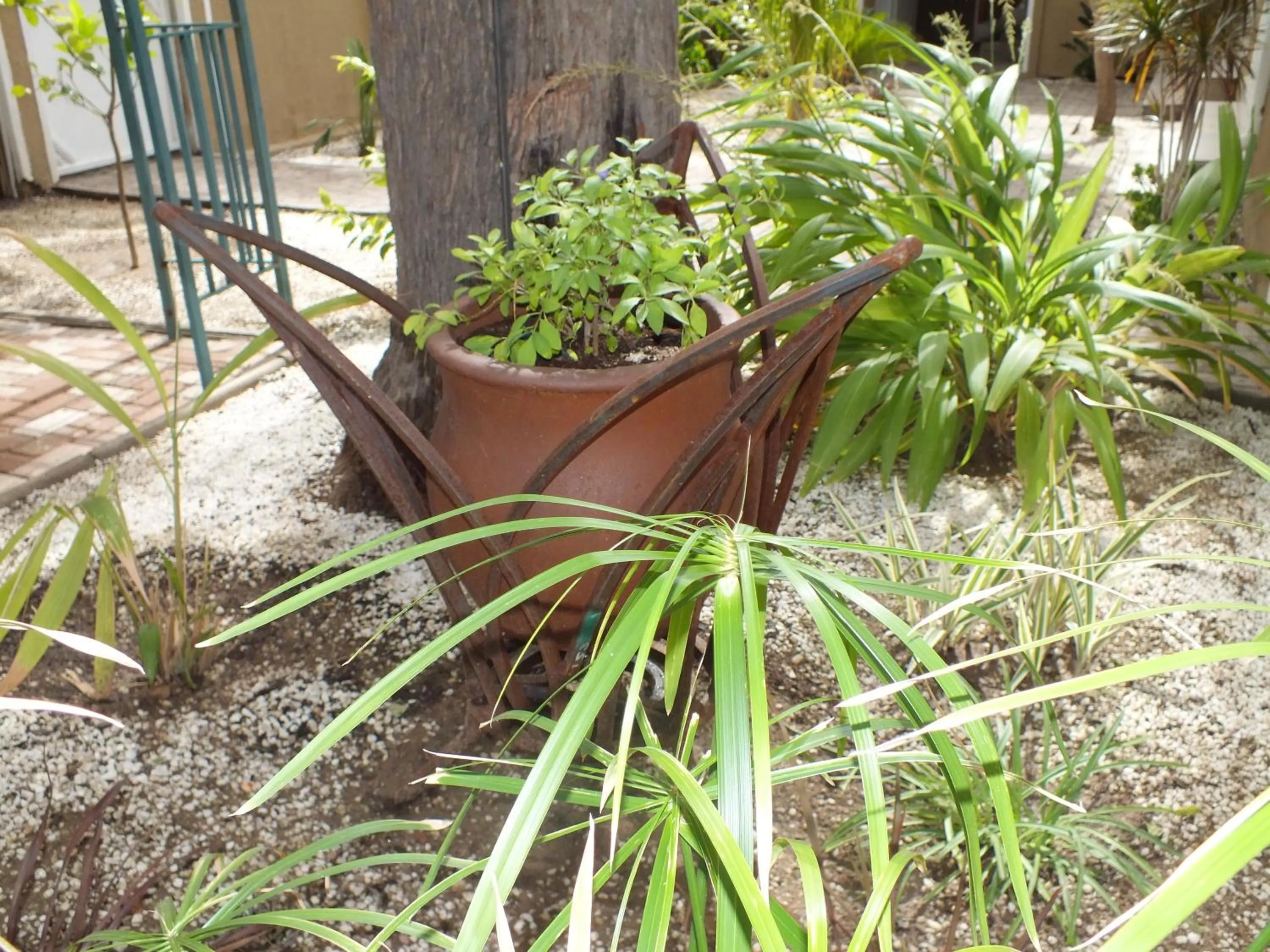 Garden in Uzuri Guesthouse CC