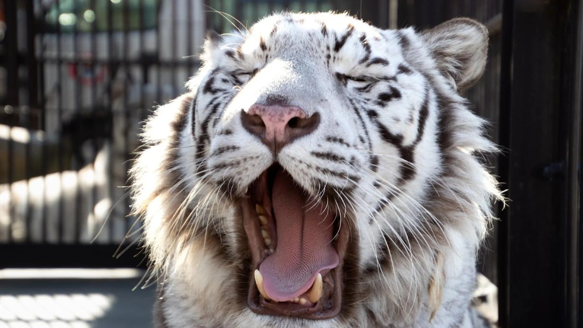 Nearby landmark in Toyoko Inn Kasukabe-eki Nishi-guchi