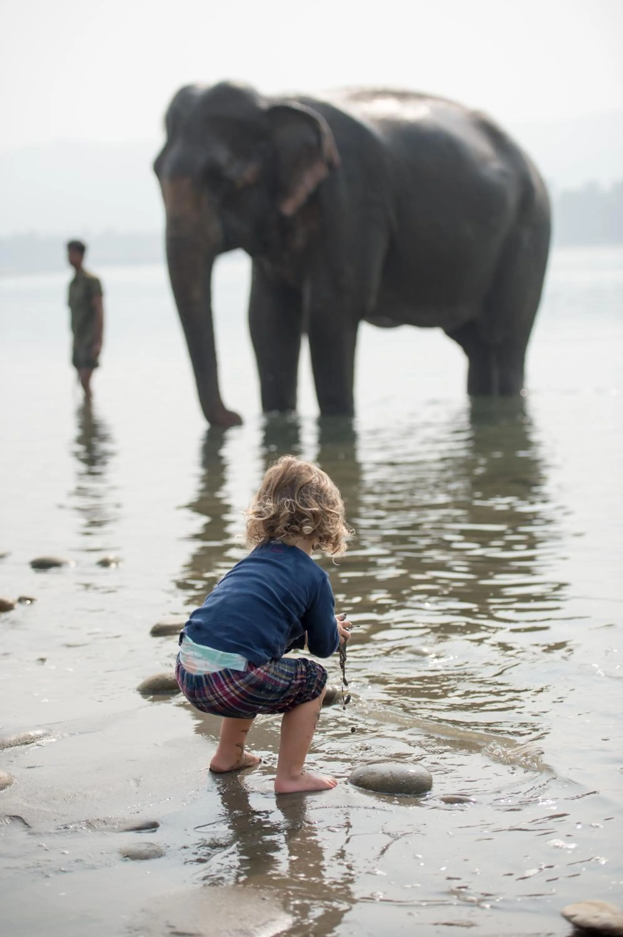 Activities in Tiger Tops Tharu Lodge