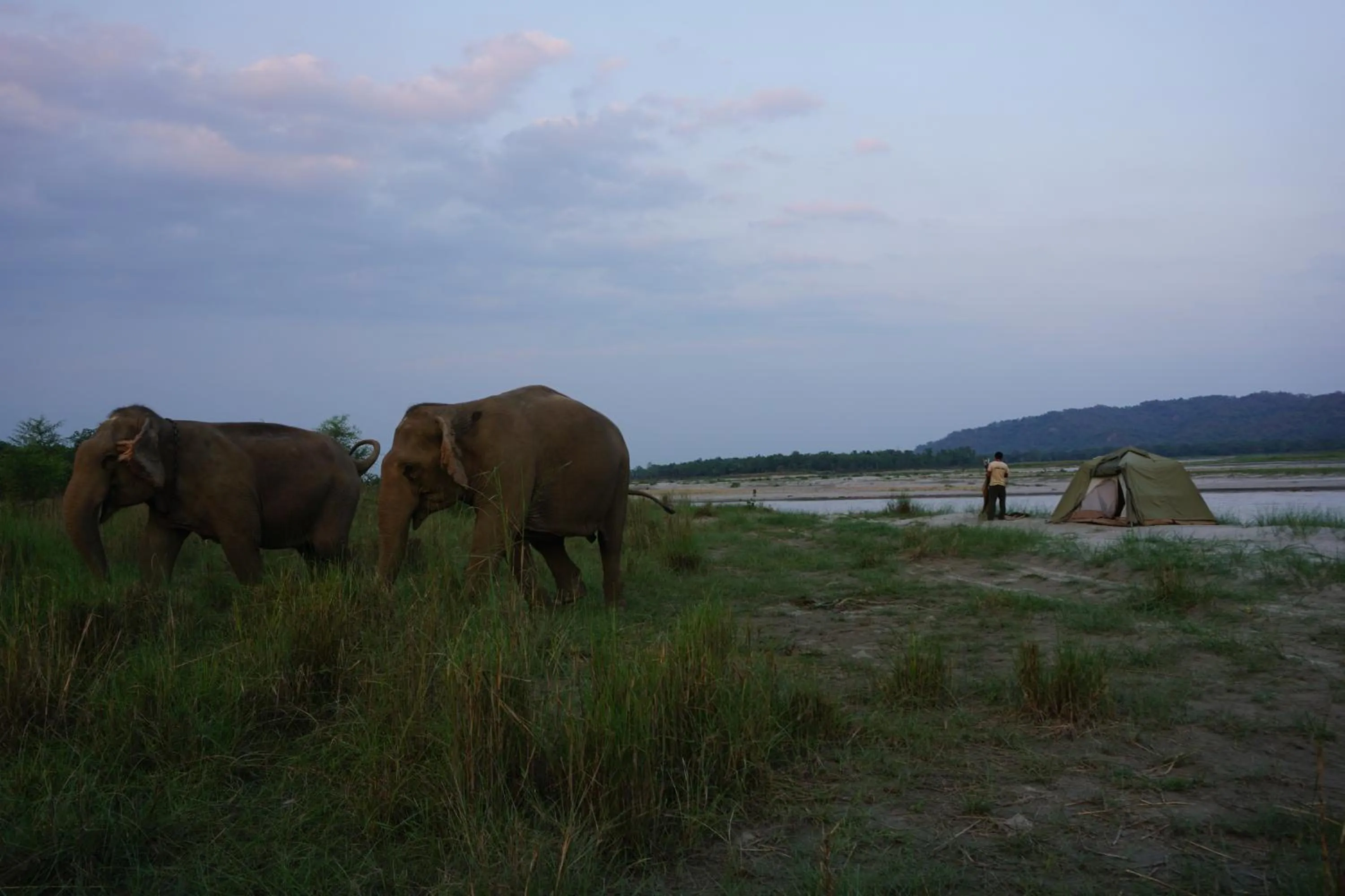 Natural landscape in Tiger Tops Tharu Lodge