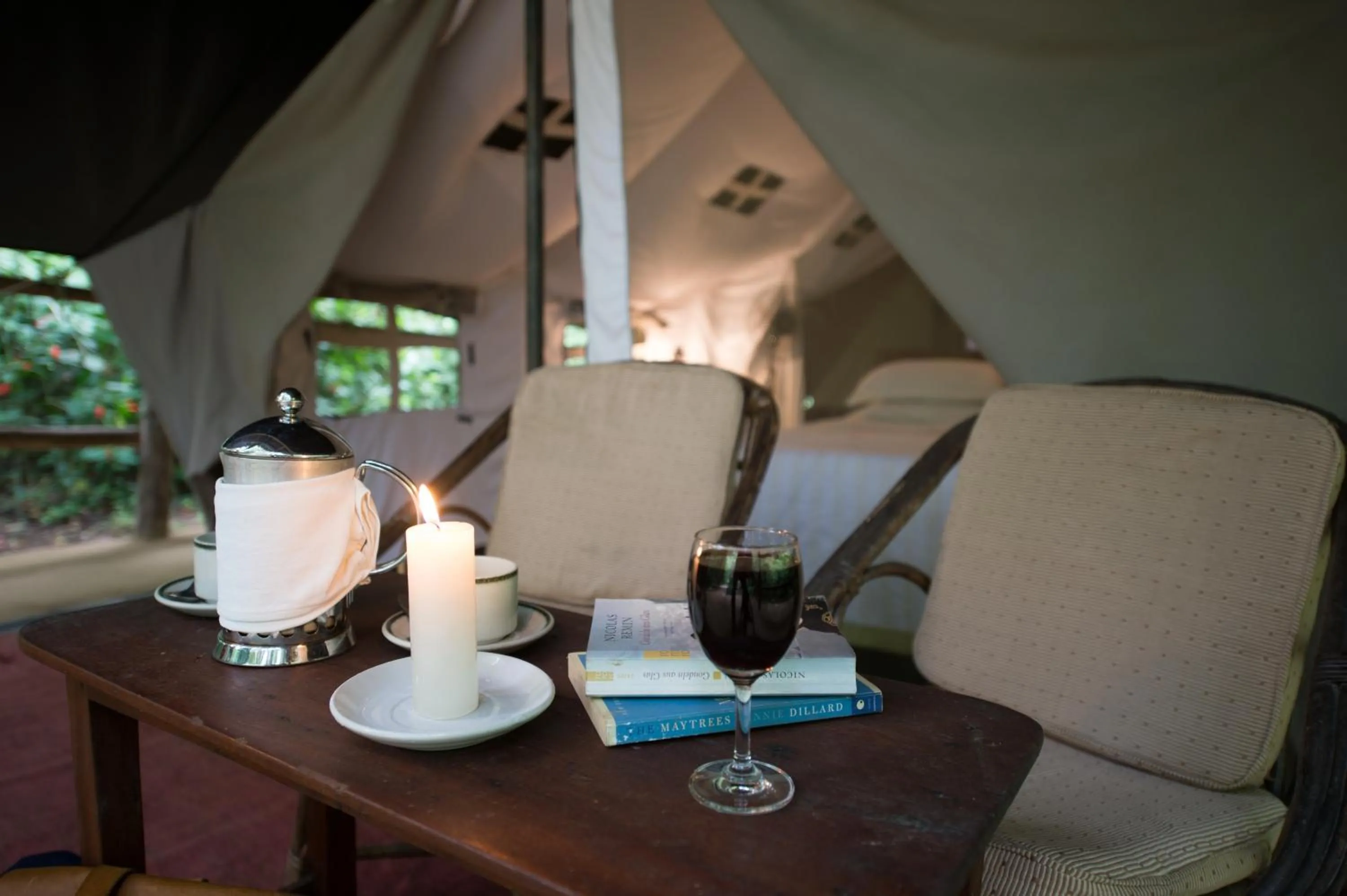 View (from property/room) in Tiger Tops Tharu Lodge