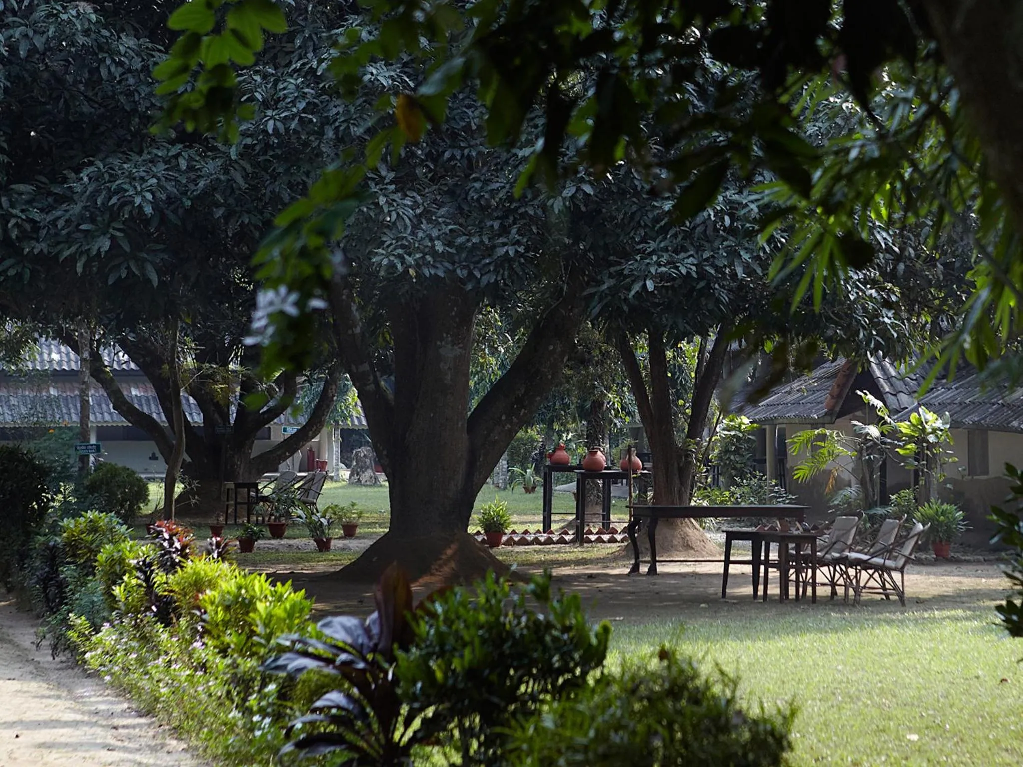 Garden in Tiger Tops Tharu Lodge