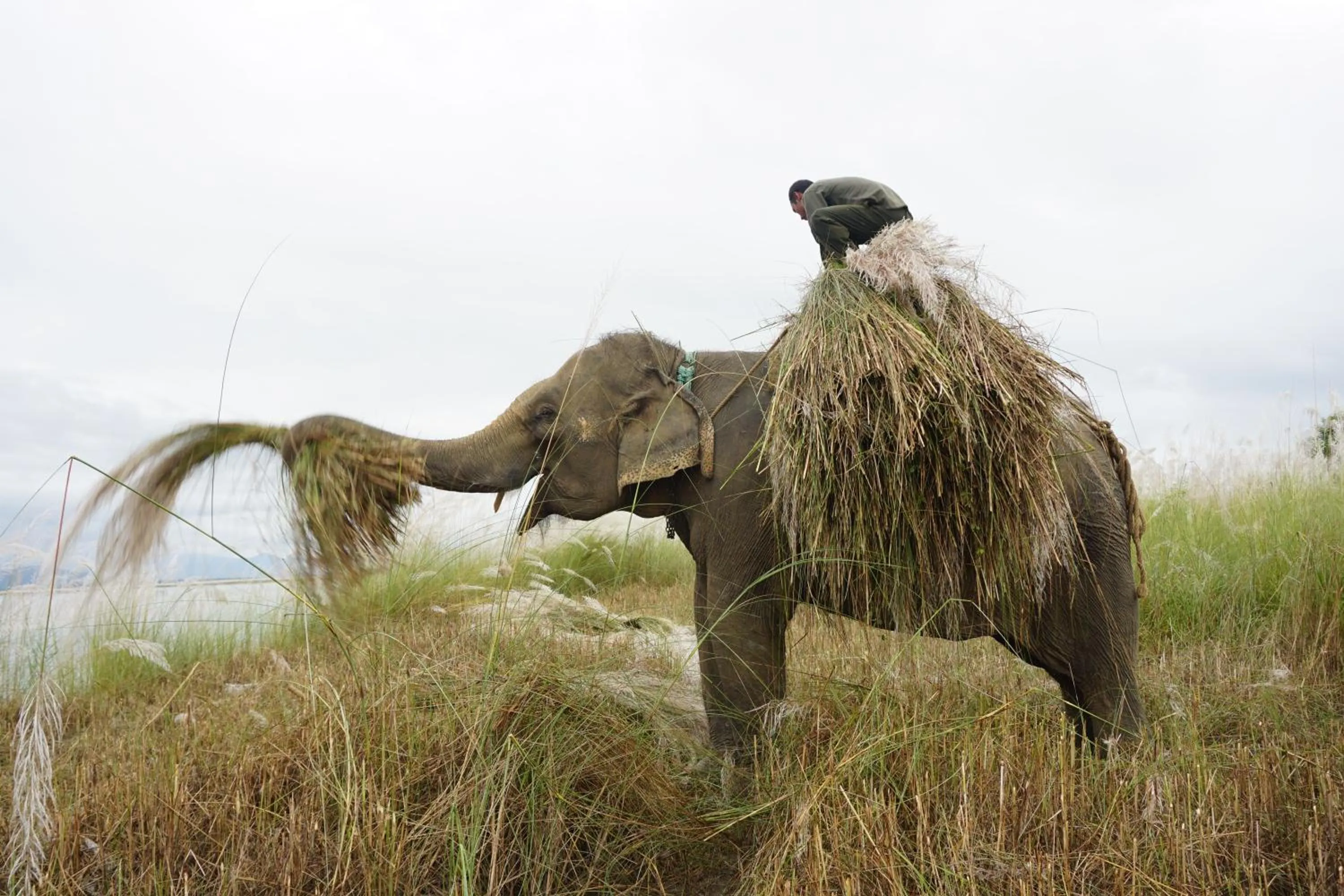 Activities in Tiger Tops Tharu Lodge