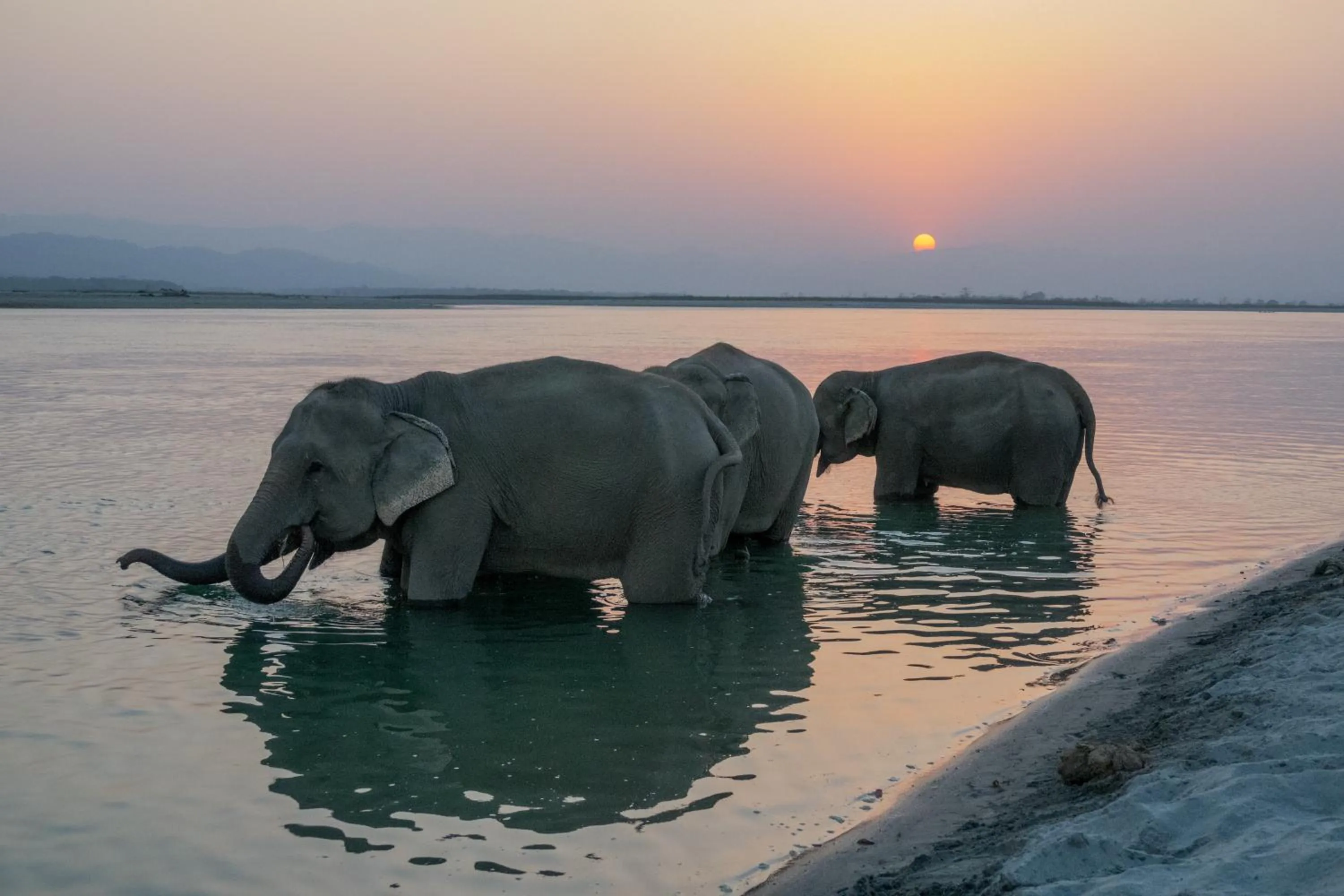 Activities in Tiger Tops Tharu Lodge