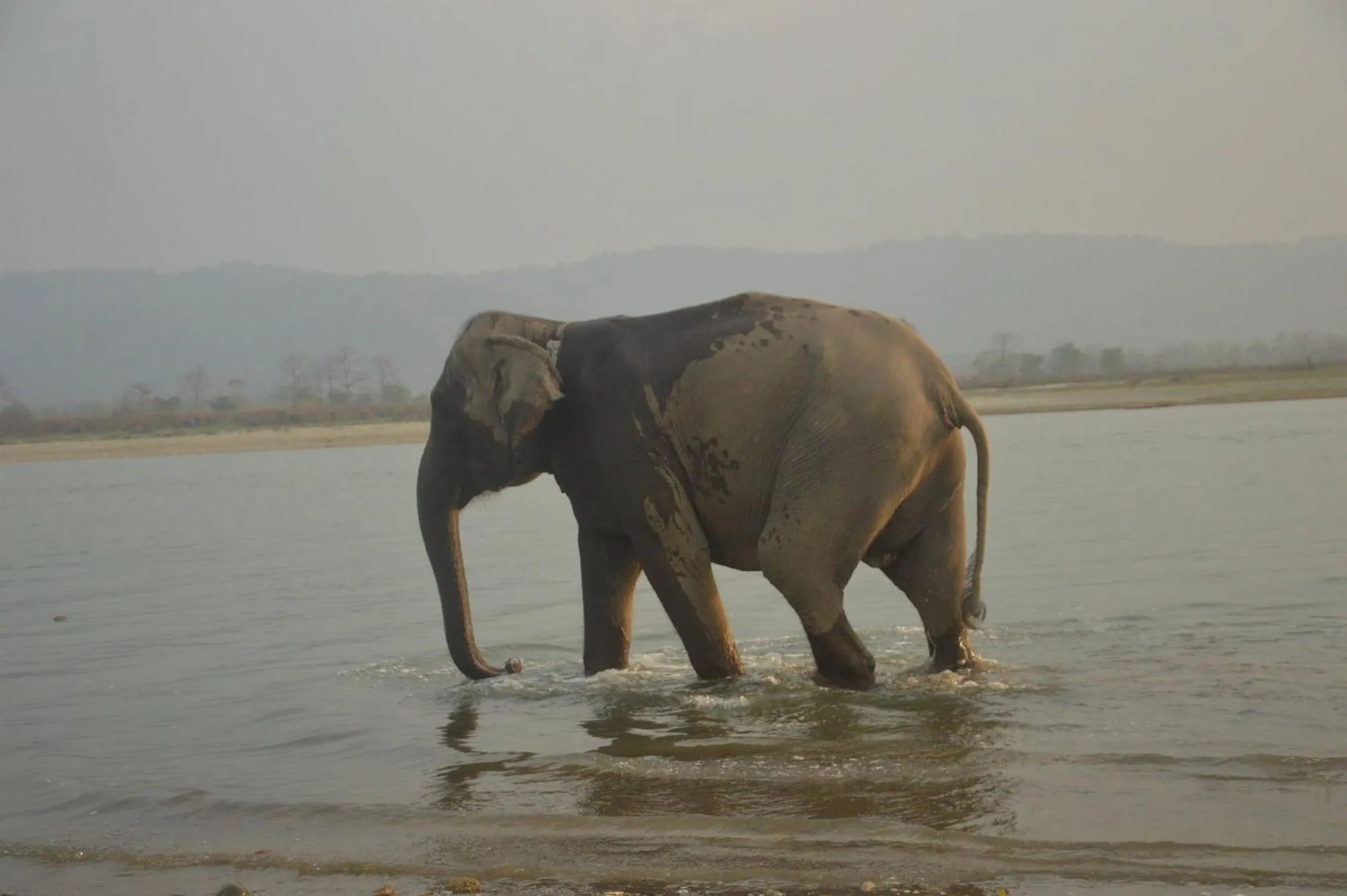 Natural landscape in Tiger Tops Tharu Lodge