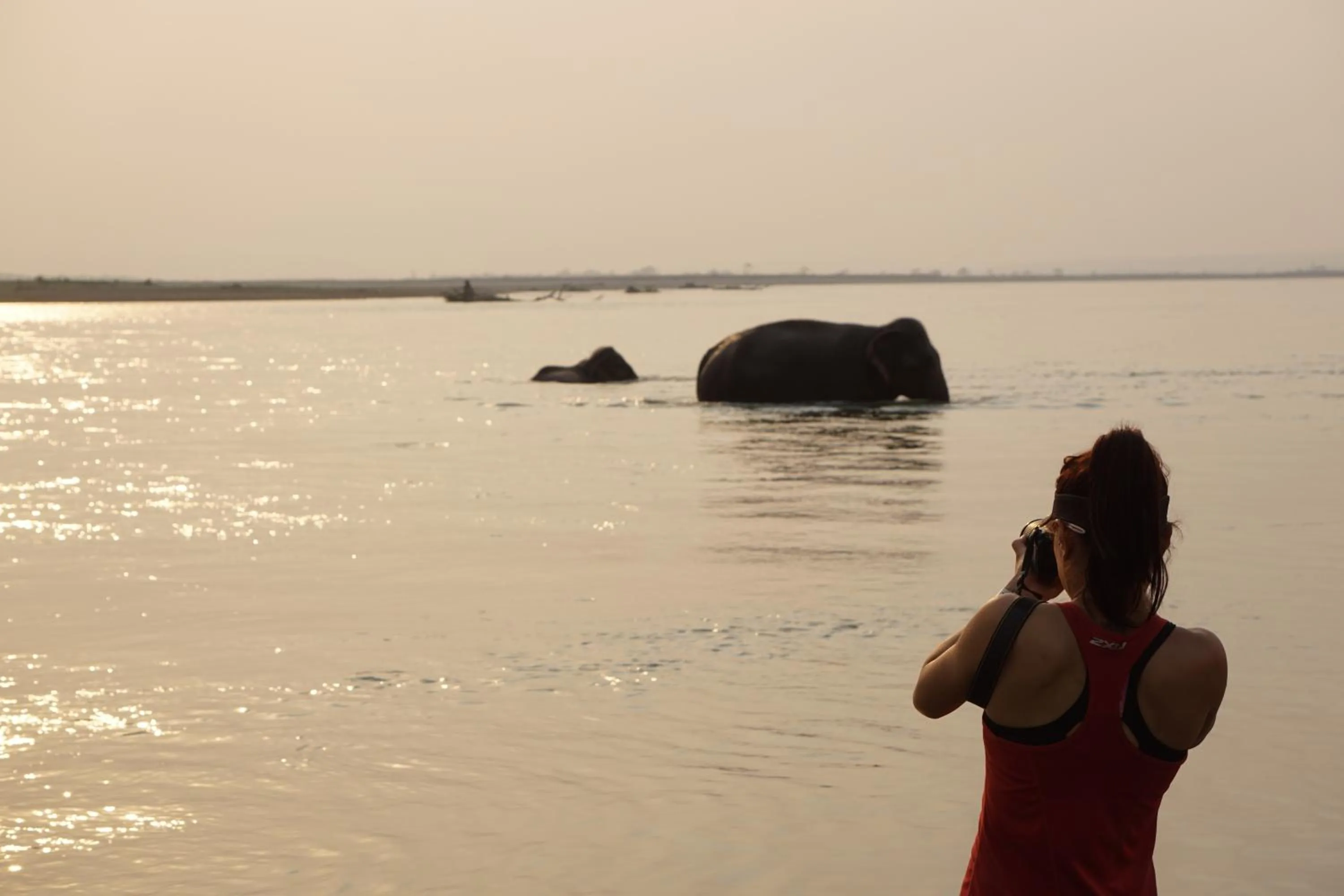 On site in Tiger Tops Tharu Lodge