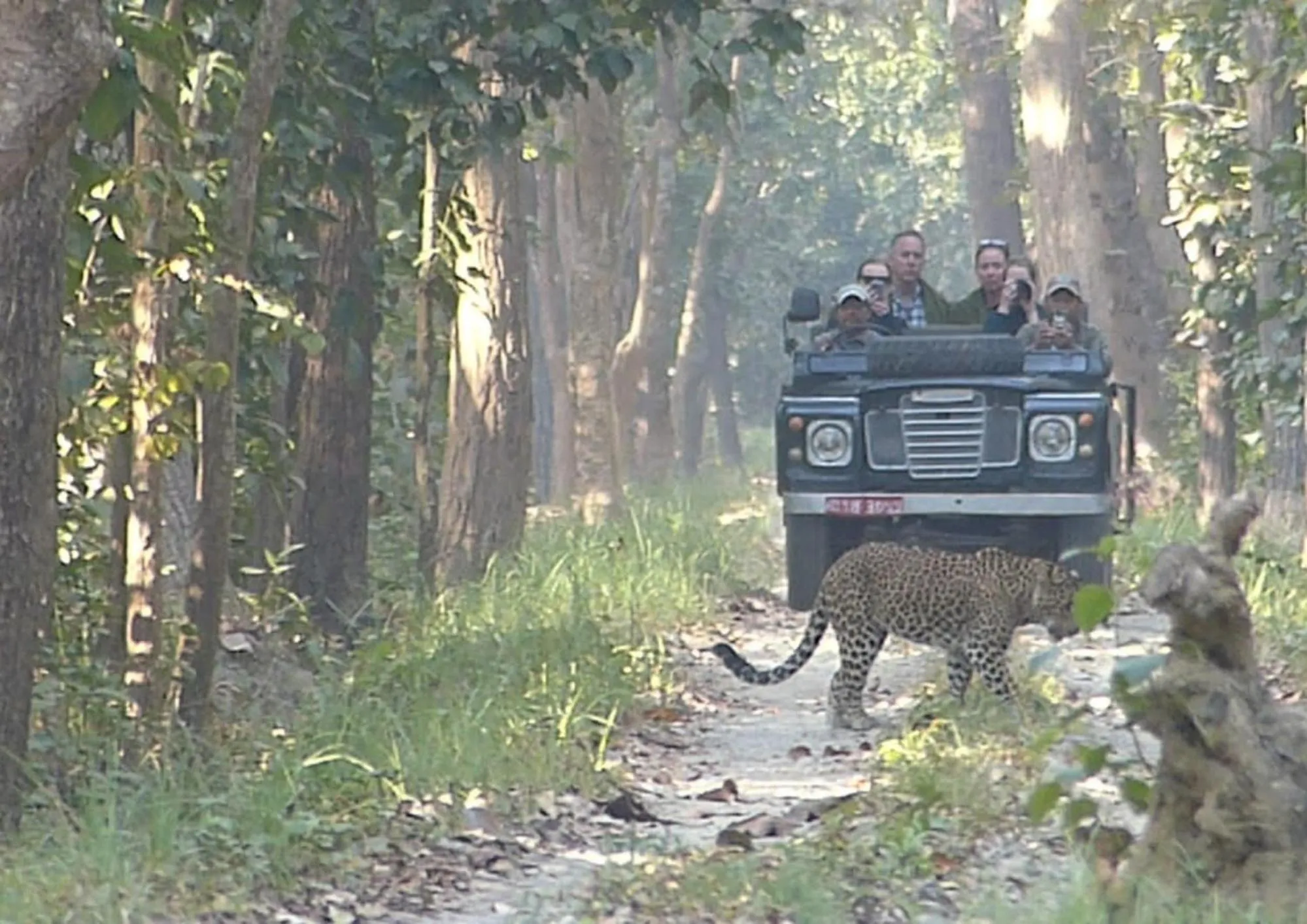 Spring in Tiger Tops Karnali Lodge