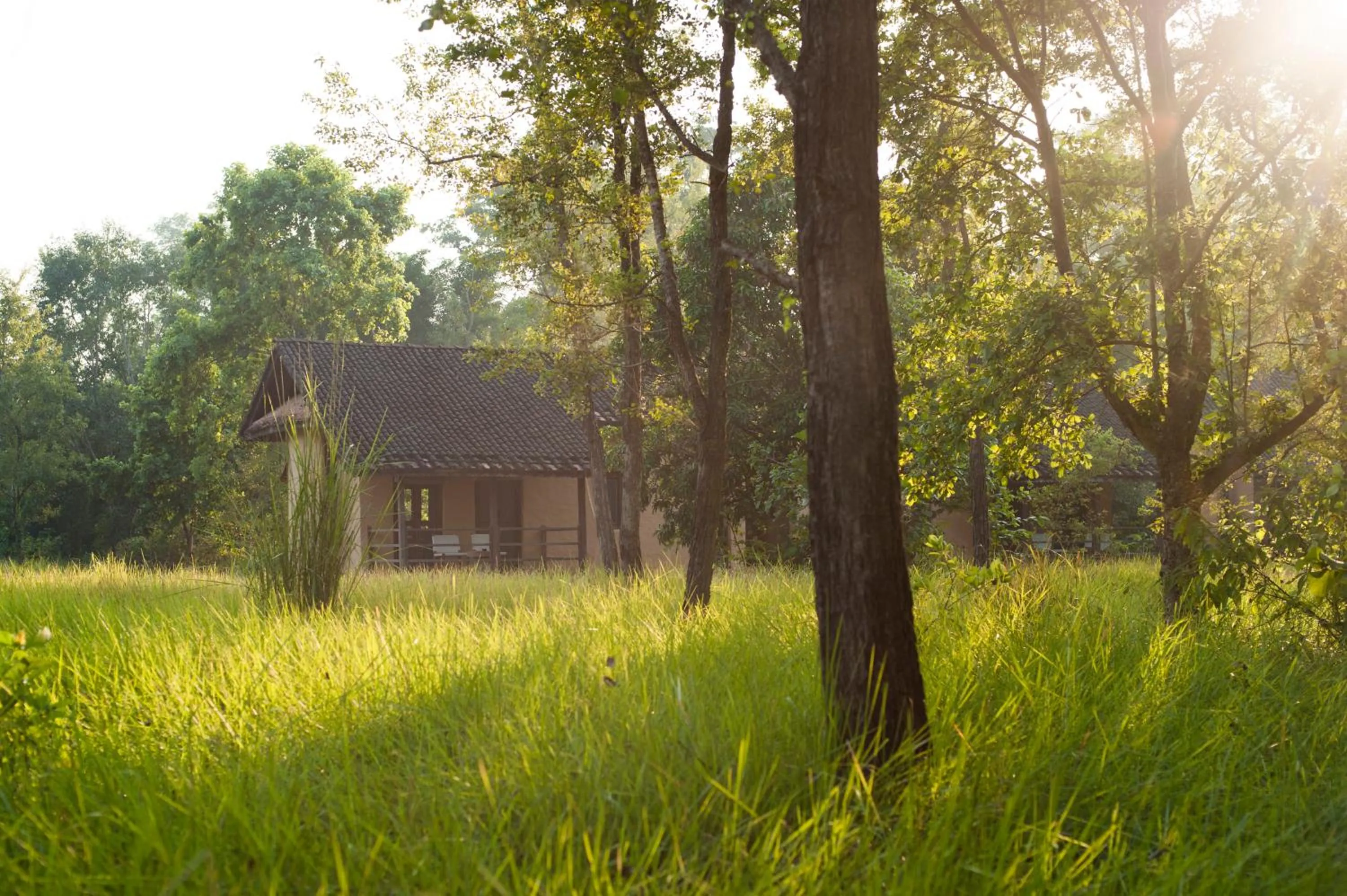 Seasons in Tiger Tops Karnali Lodge