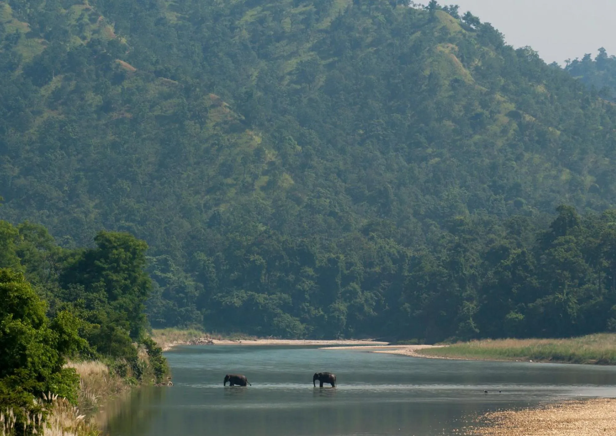 Spring in Tiger Tops Karnali Lodge