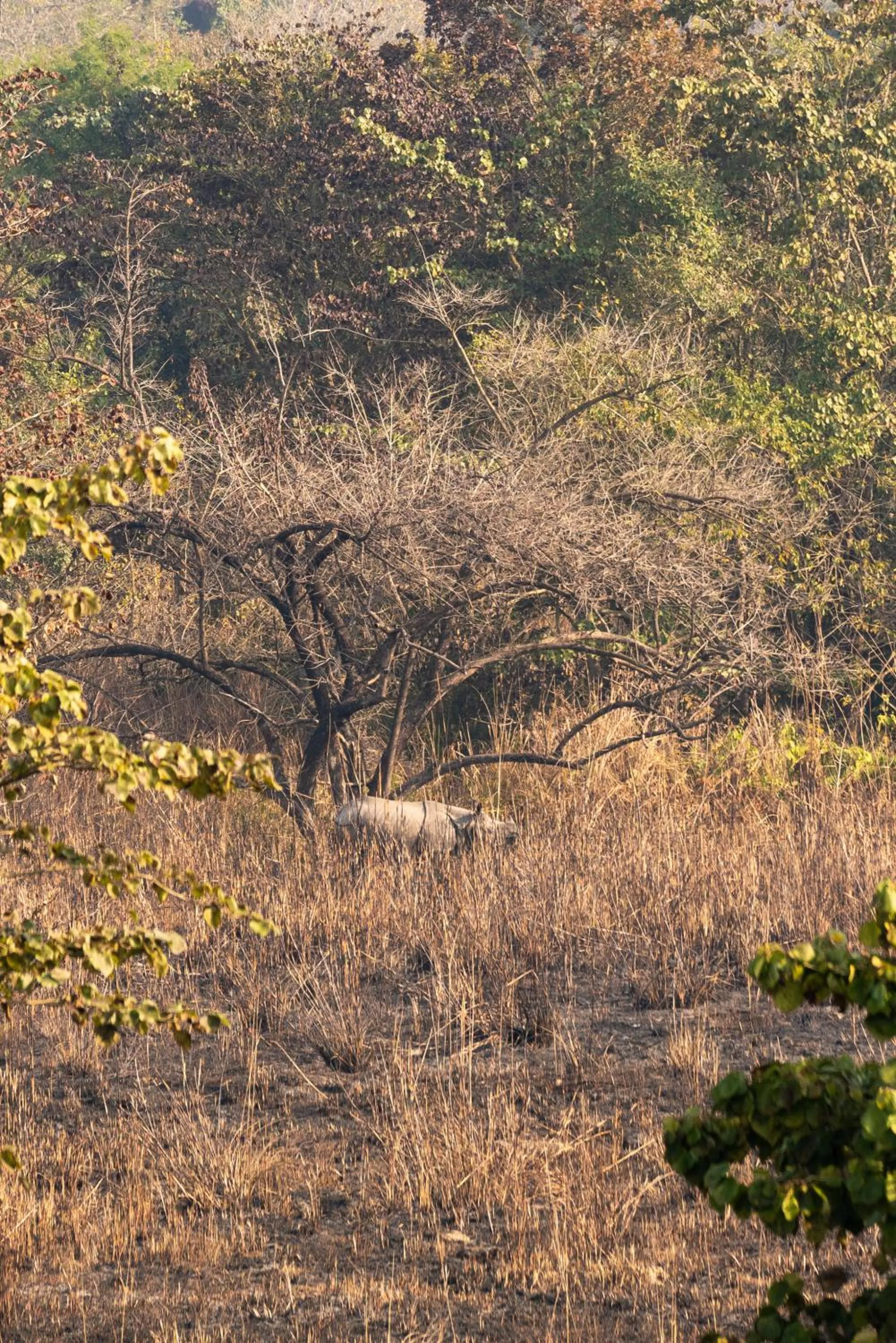 Activities in Tiger Tops Karnali Lodge