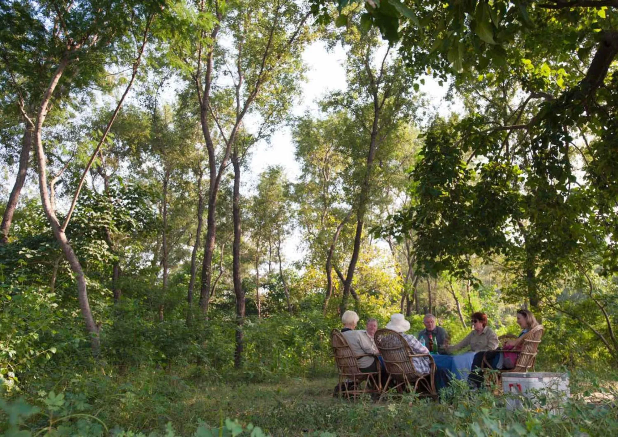 Spring in Tiger Tops Karnali Lodge