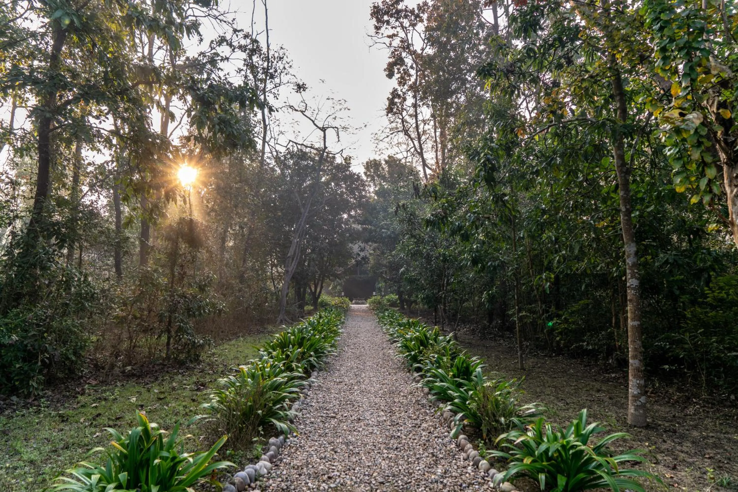 Garden in Tiger Tops Karnali Lodge