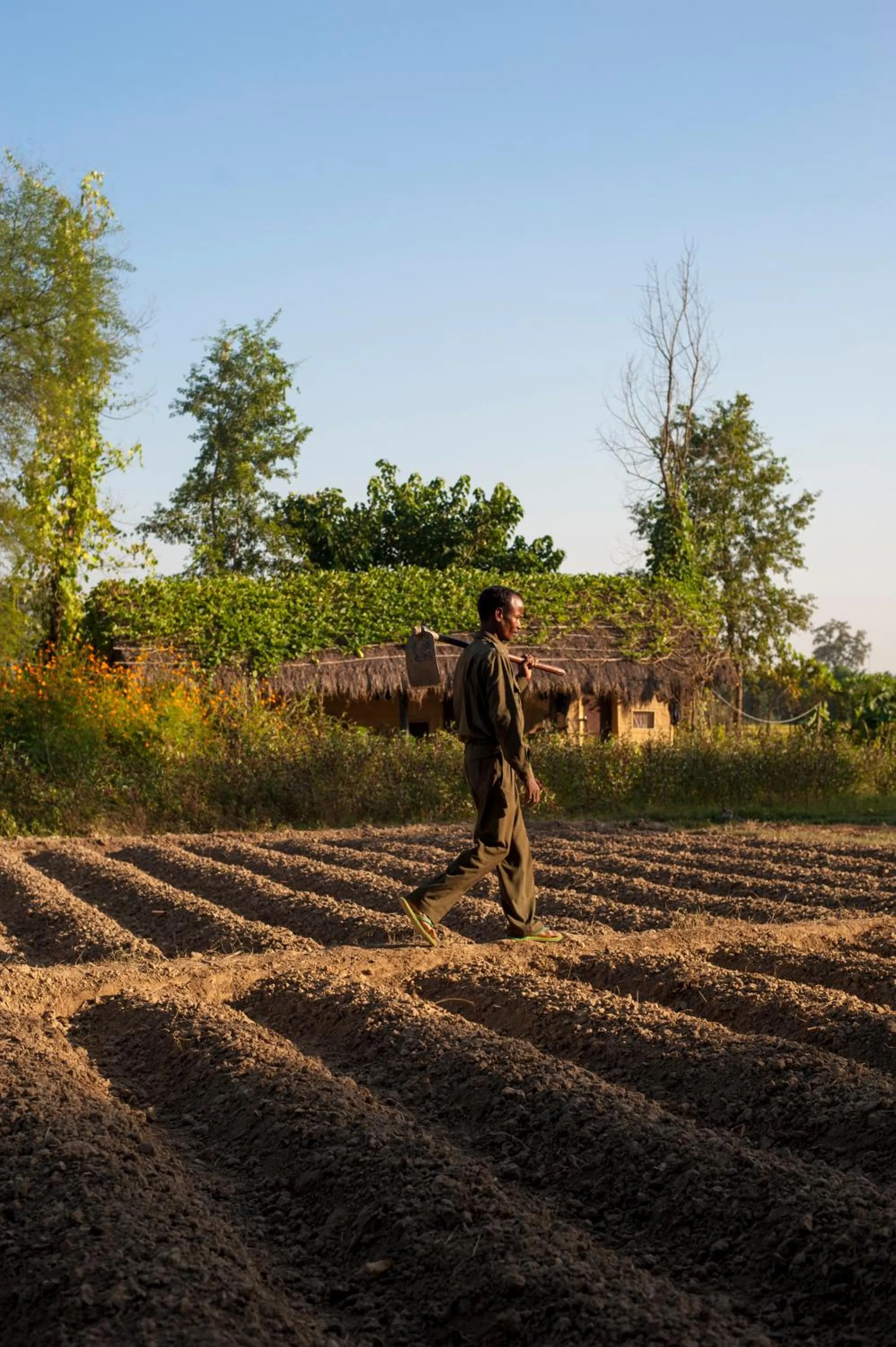 Property building in Tiger Tops Karnali Lodge