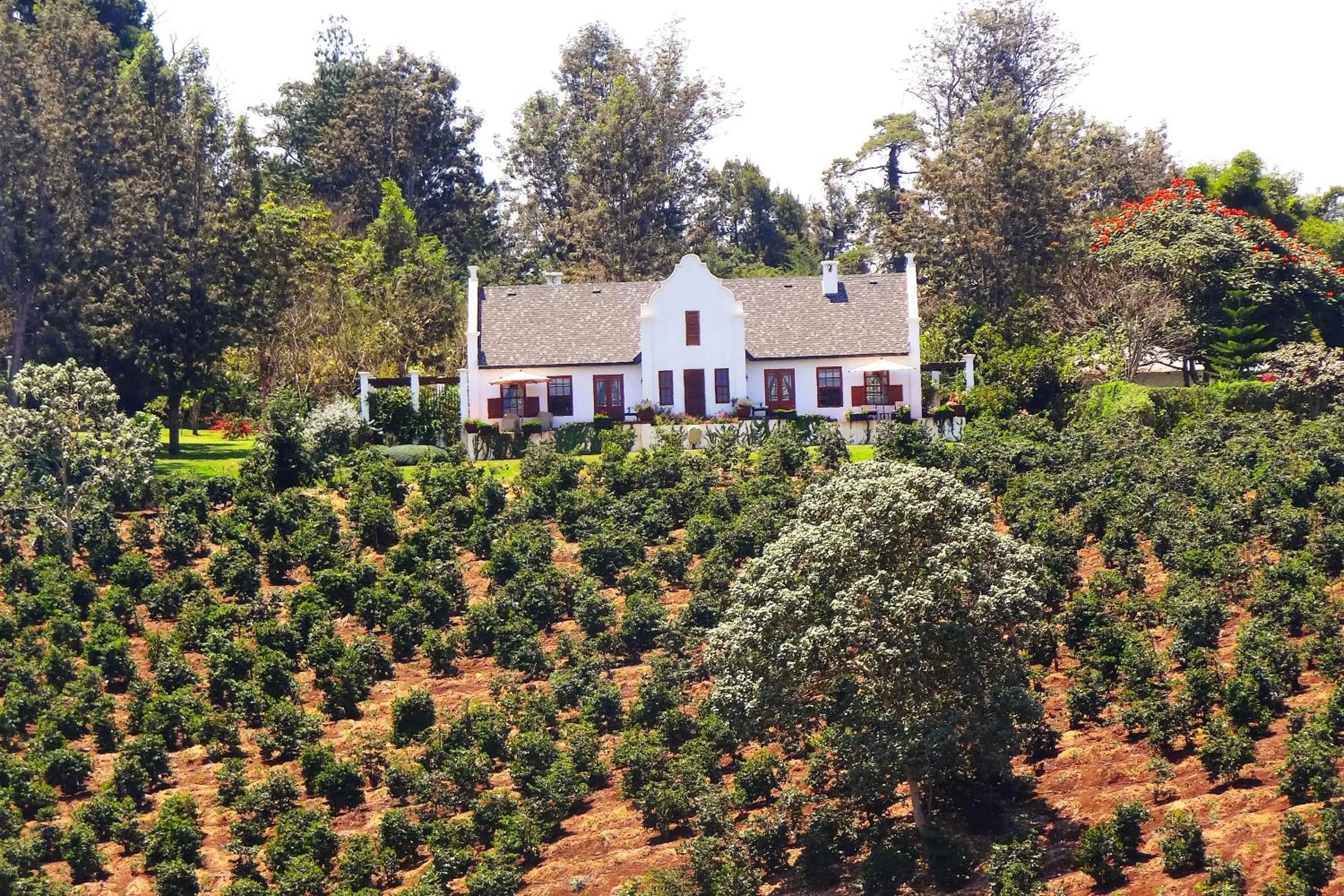 Property building in The Manor at Ngorongoro