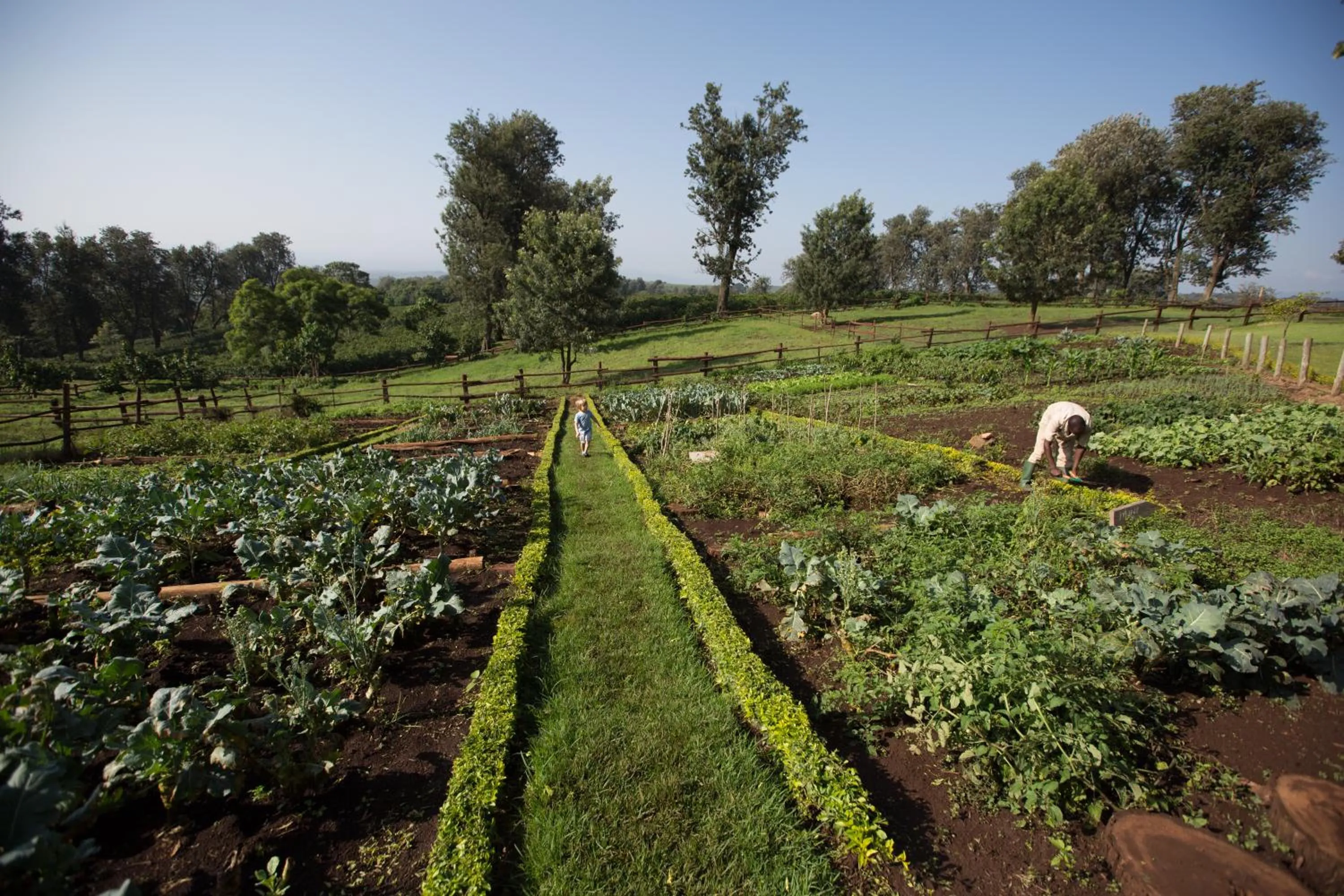 Natural landscape in The Manor at Ngorongoro