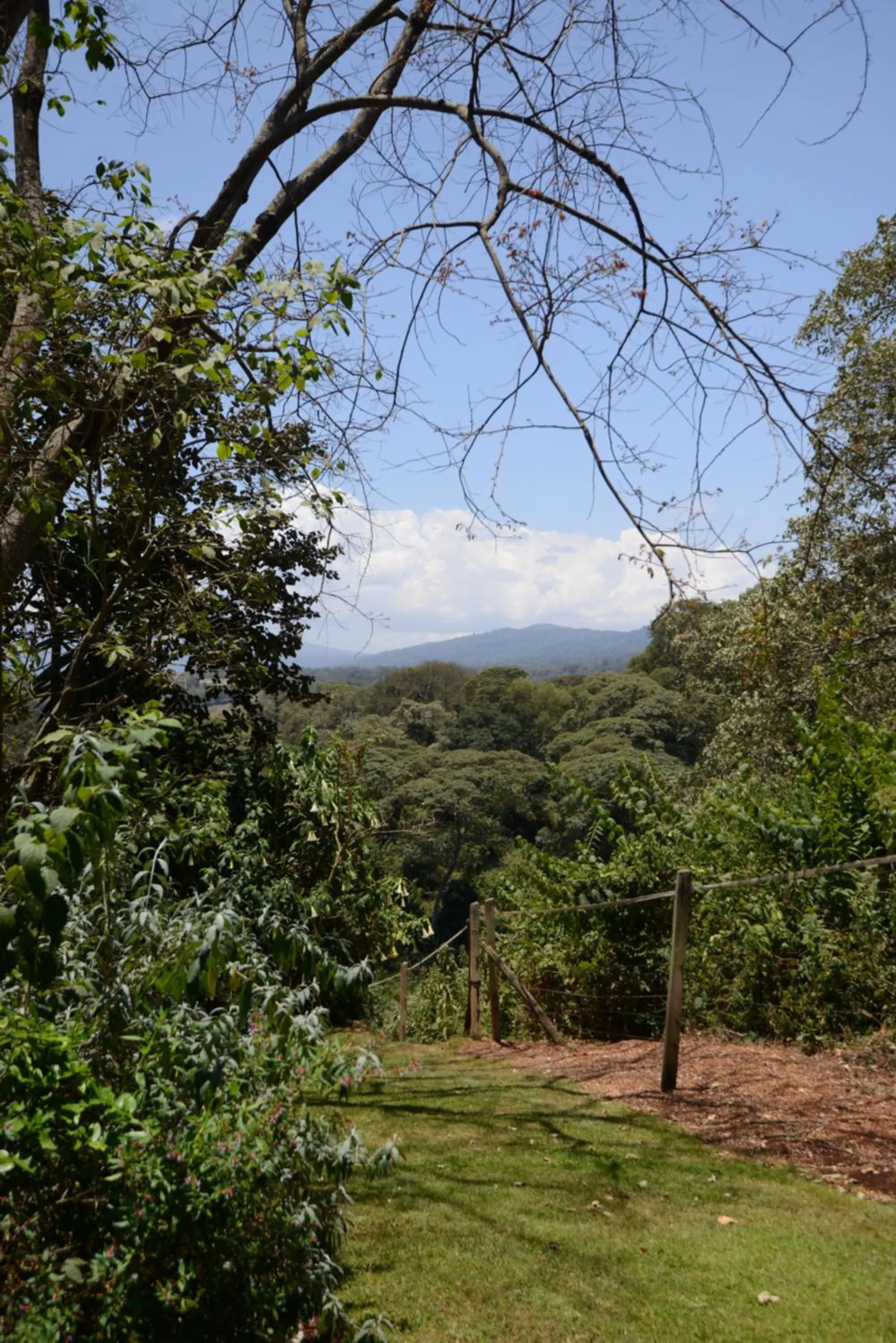 Natural landscape in The Manor at Ngorongoro