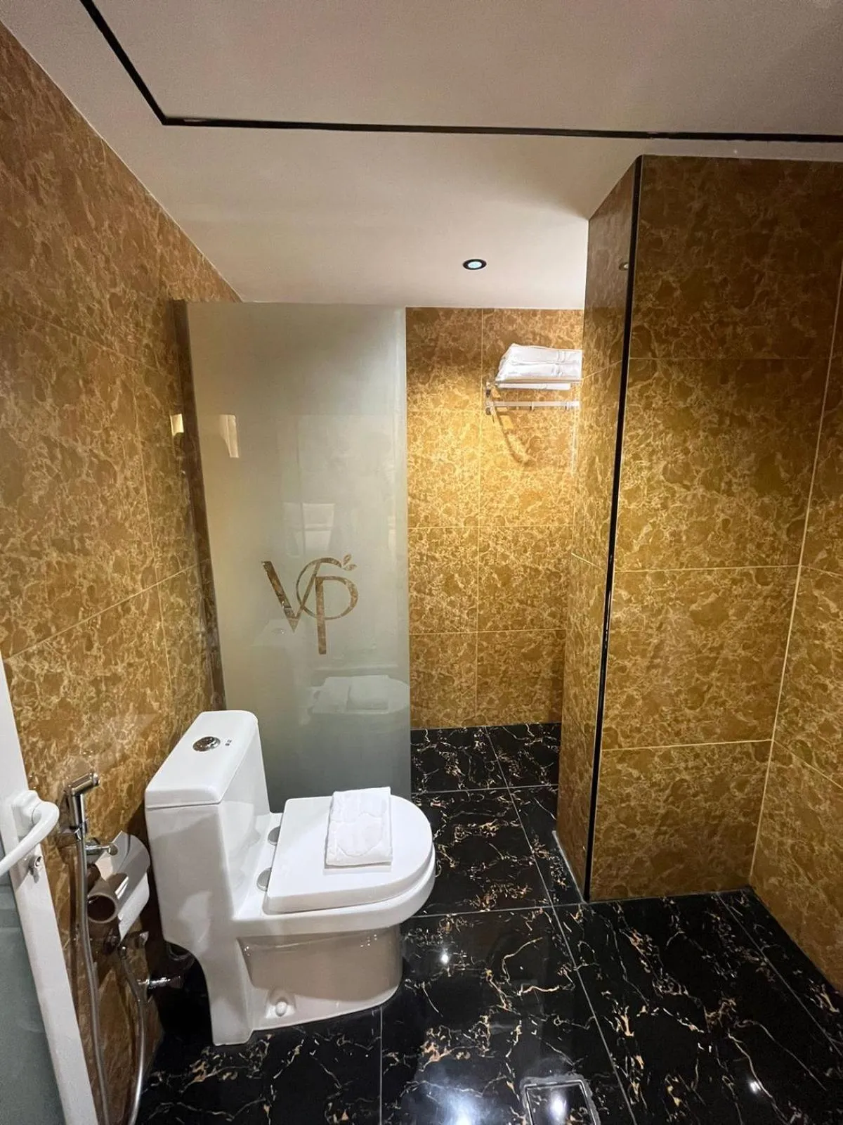 Toilet in Villa Park