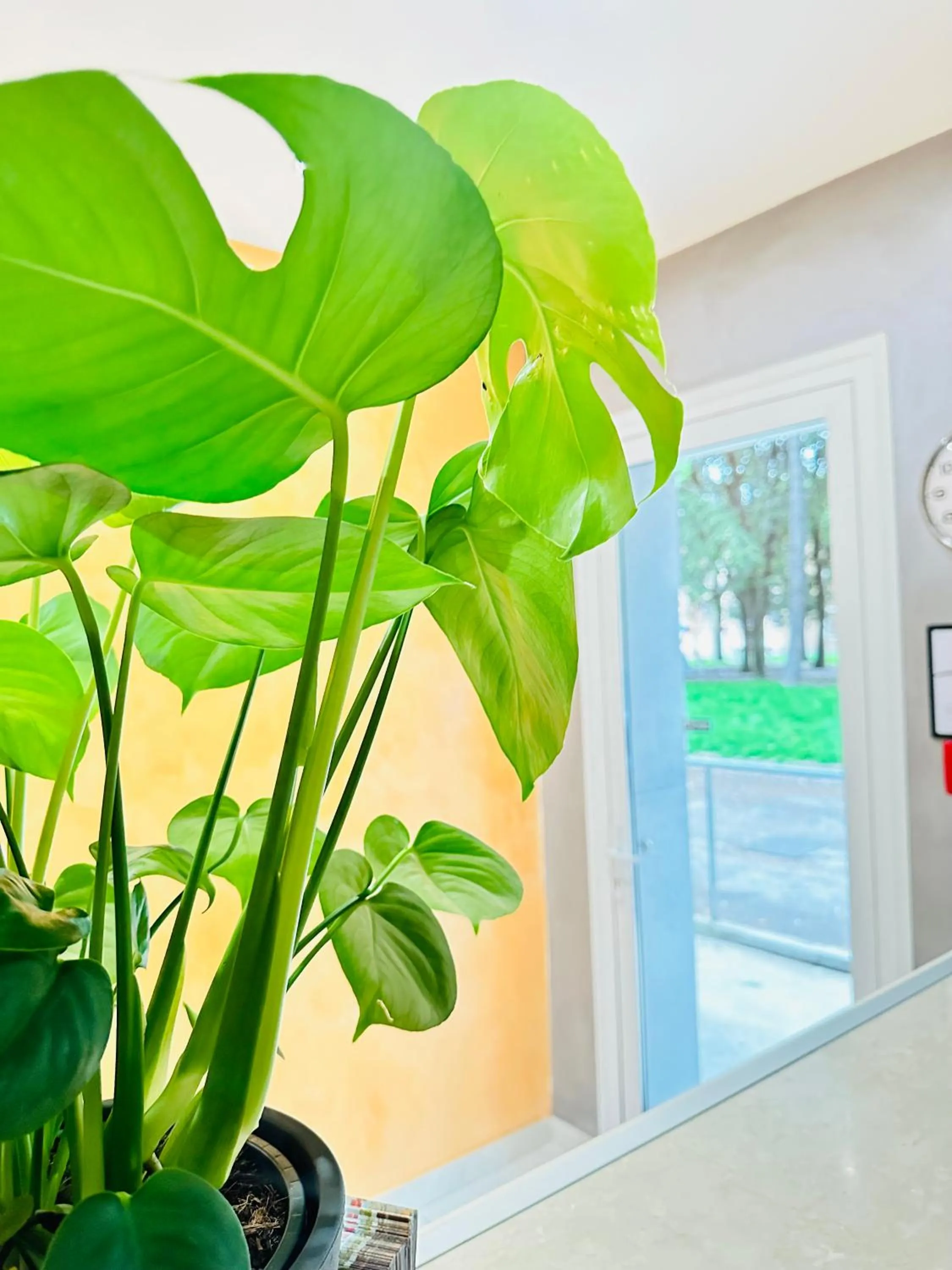 Lobby or reception in Venice Hub