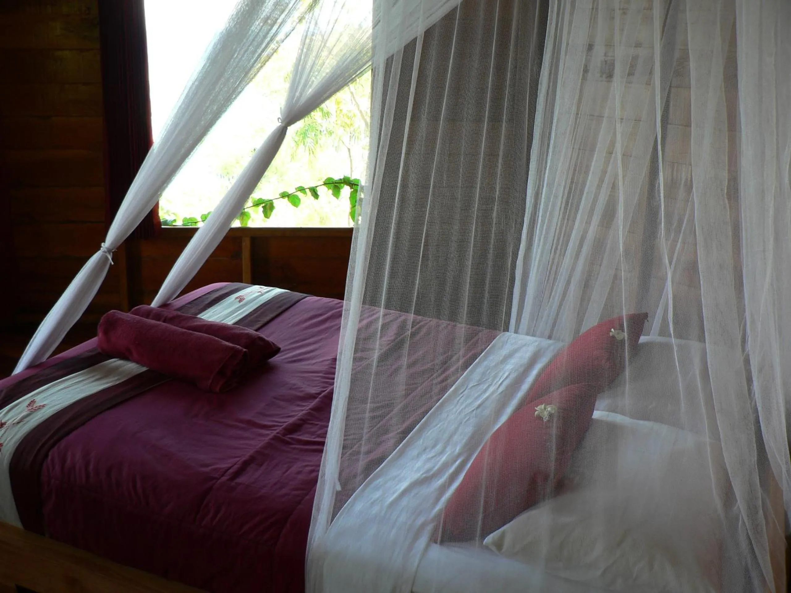 Bedroom, Bed in Waecicu Eden Beach Hotel