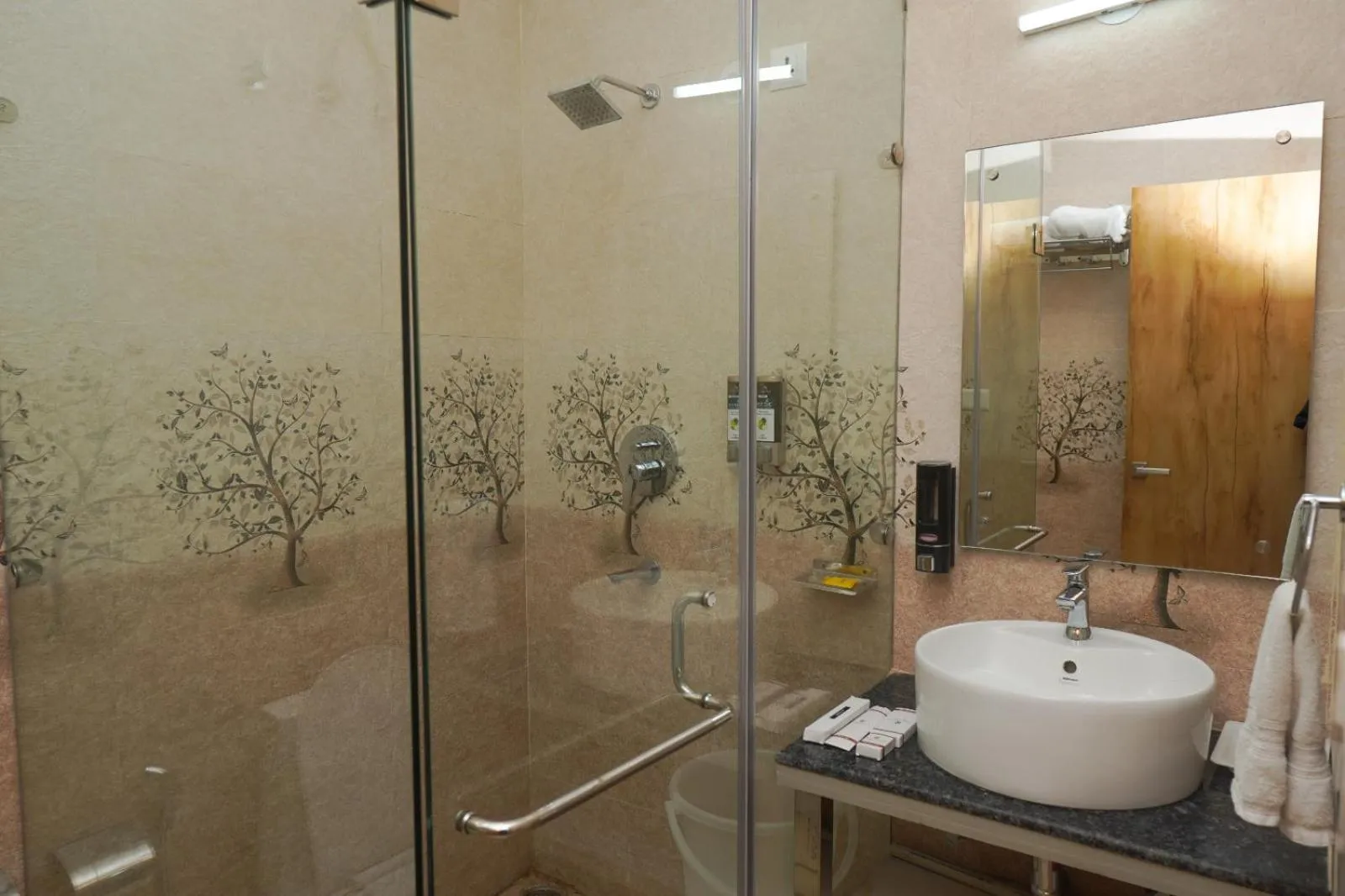 Shower in Click Collection The Abode, Dharamshala