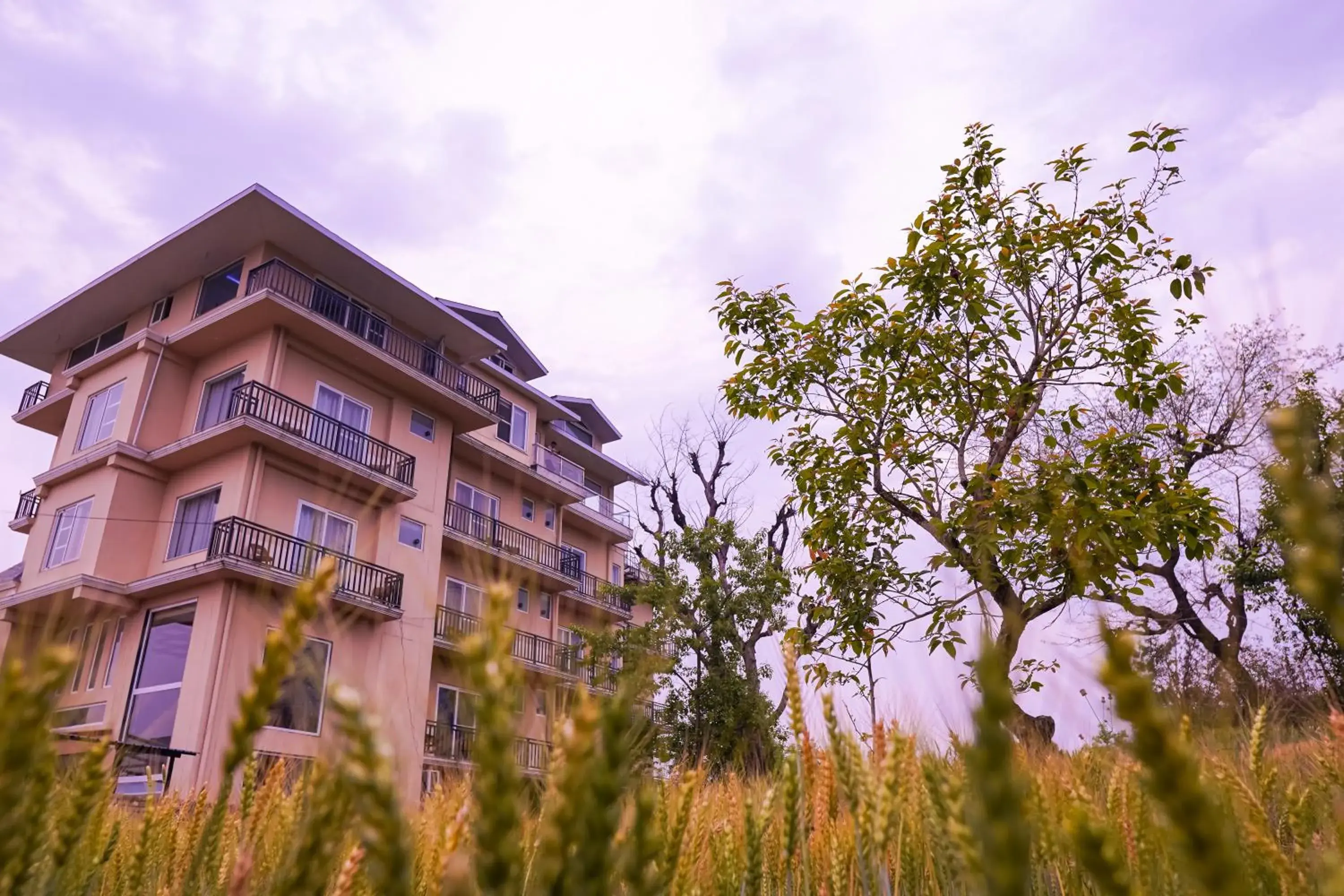 Property building in Click Collection The Abode, Dharamshala Property building in Click Collection The Abode, Dharamshala