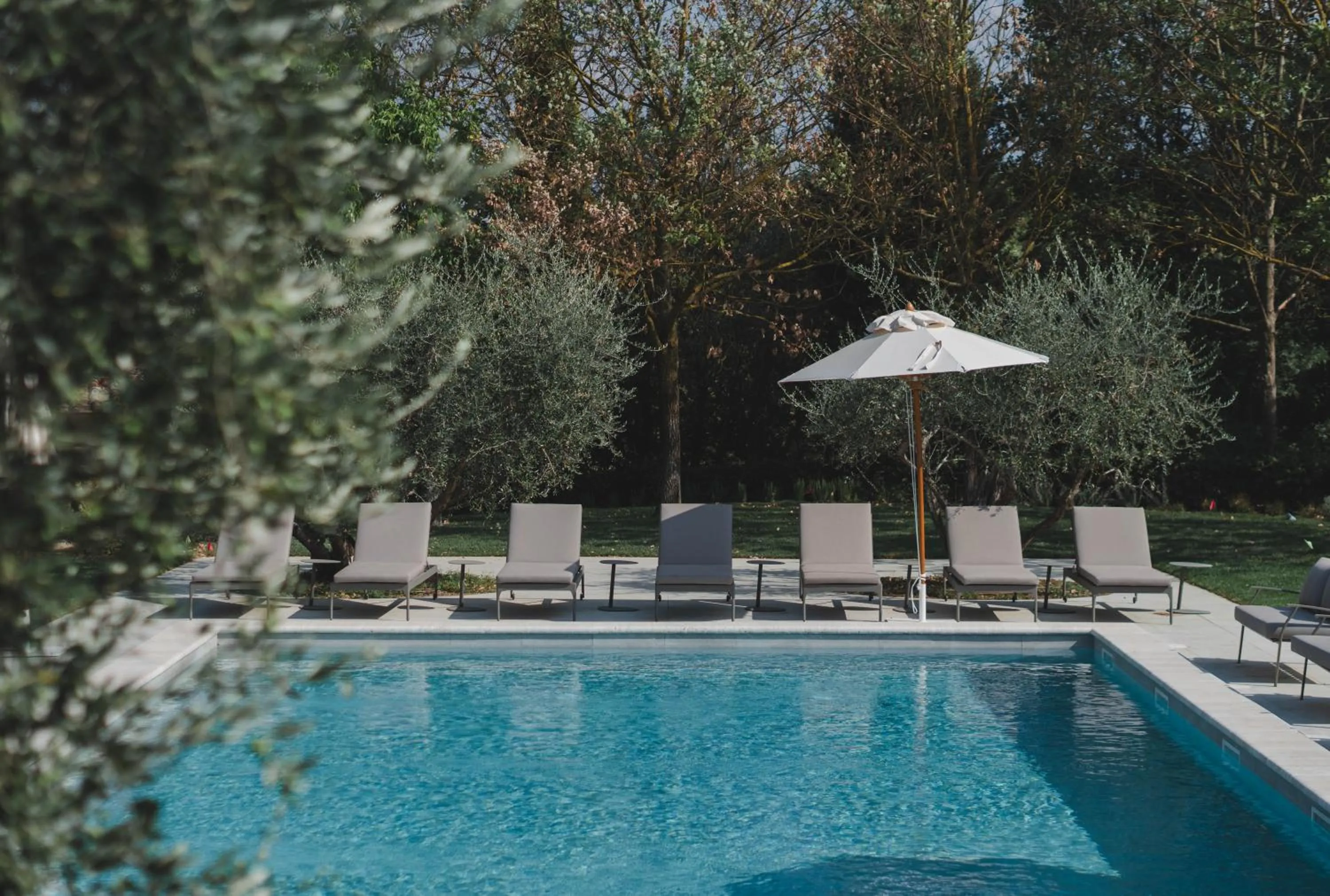 Pool view in Borgo San Vincenzo