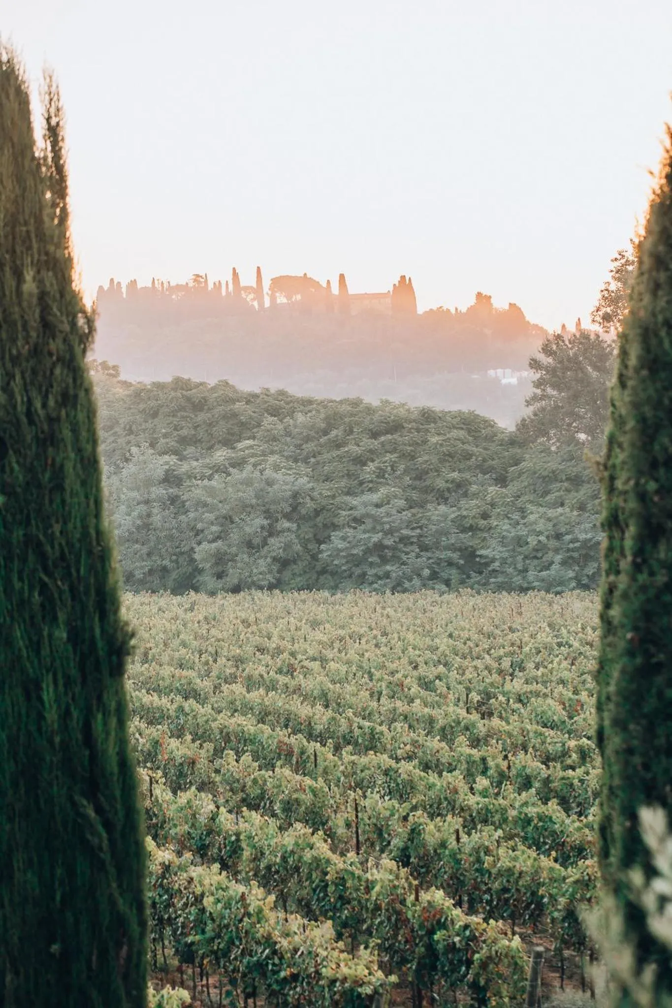 Day in Borgo San Vincenzo