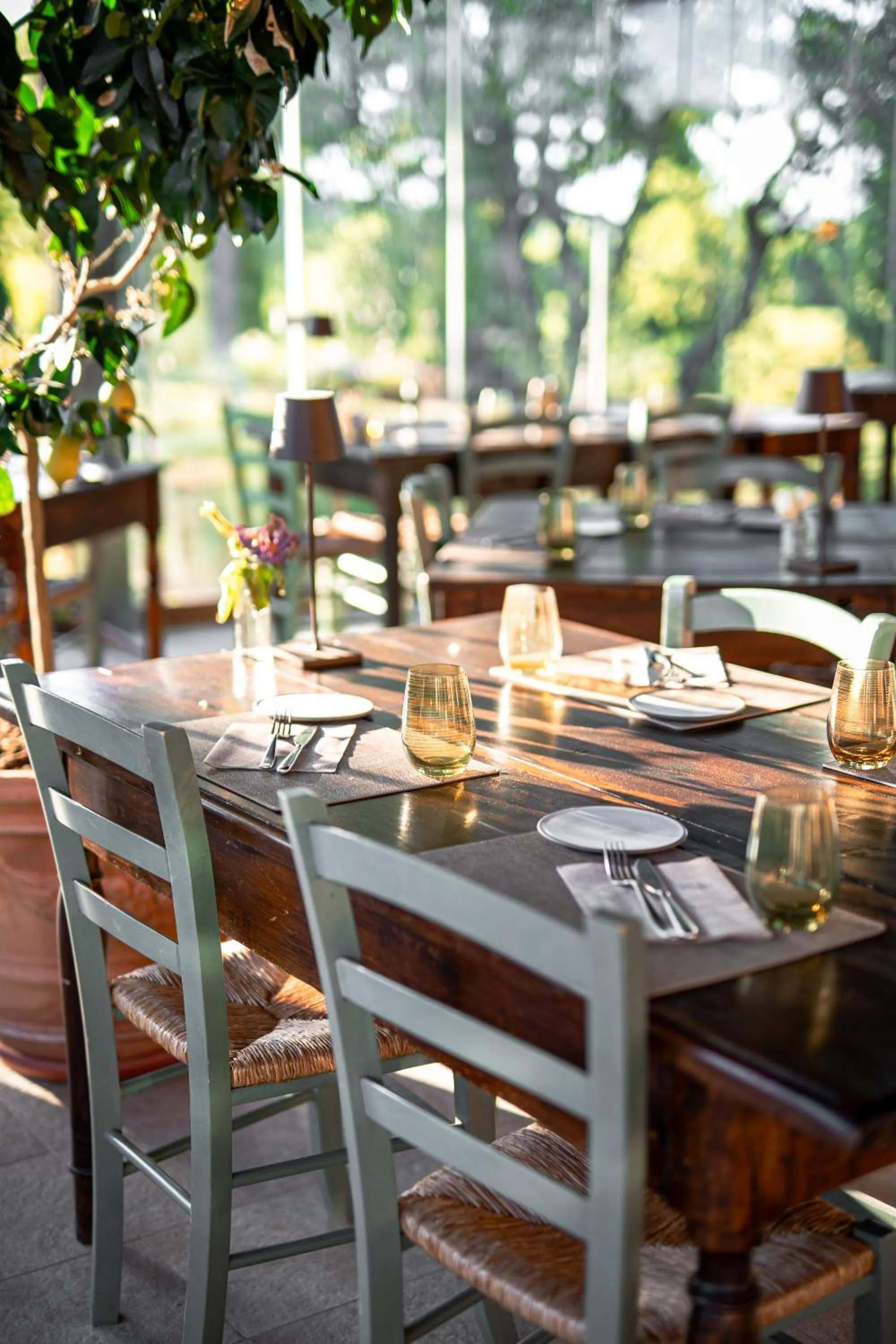 Restaurant/places to eat in Borgo San Vincenzo