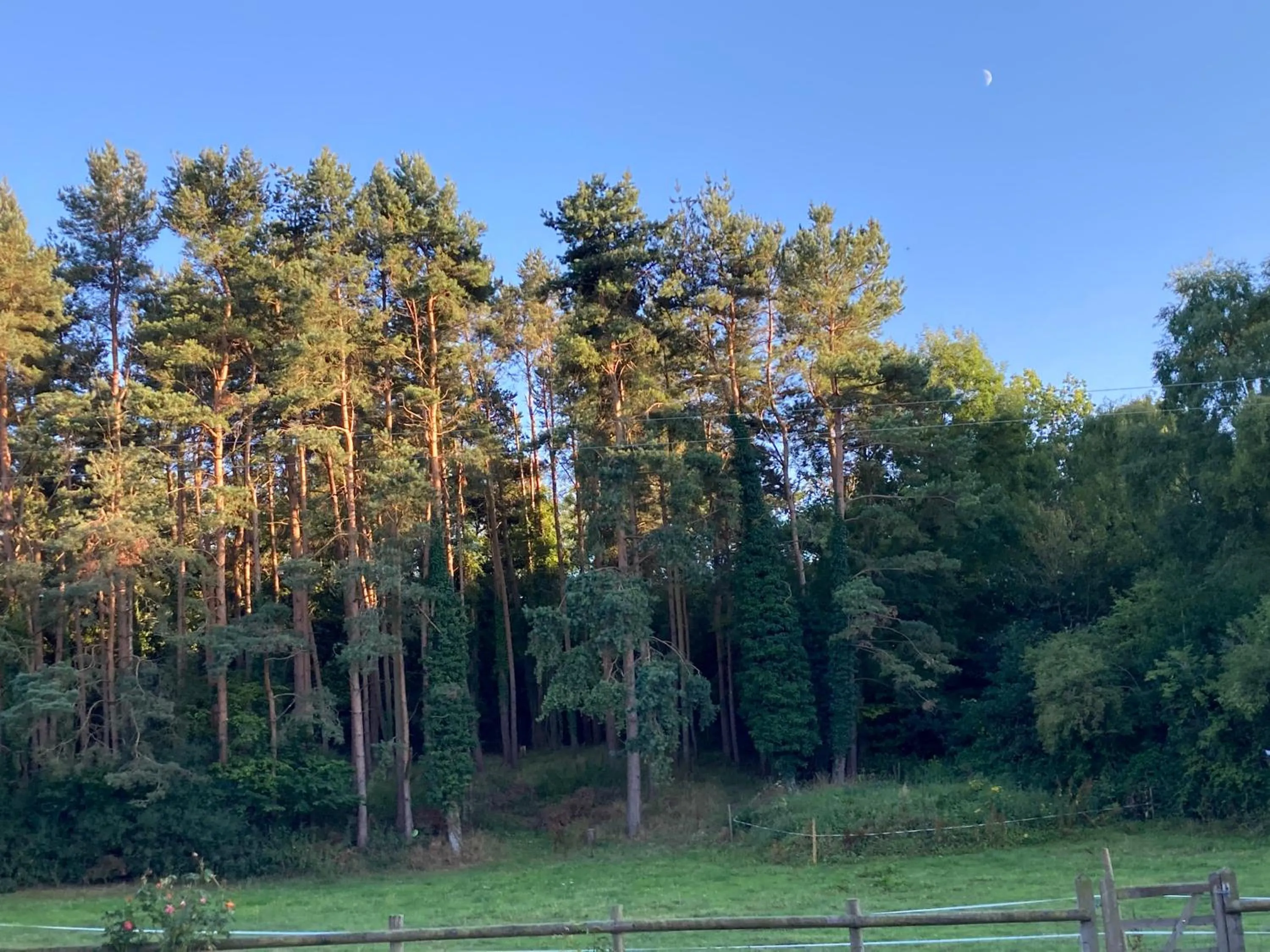 1 bedroomed Detached holiday retreat Pant