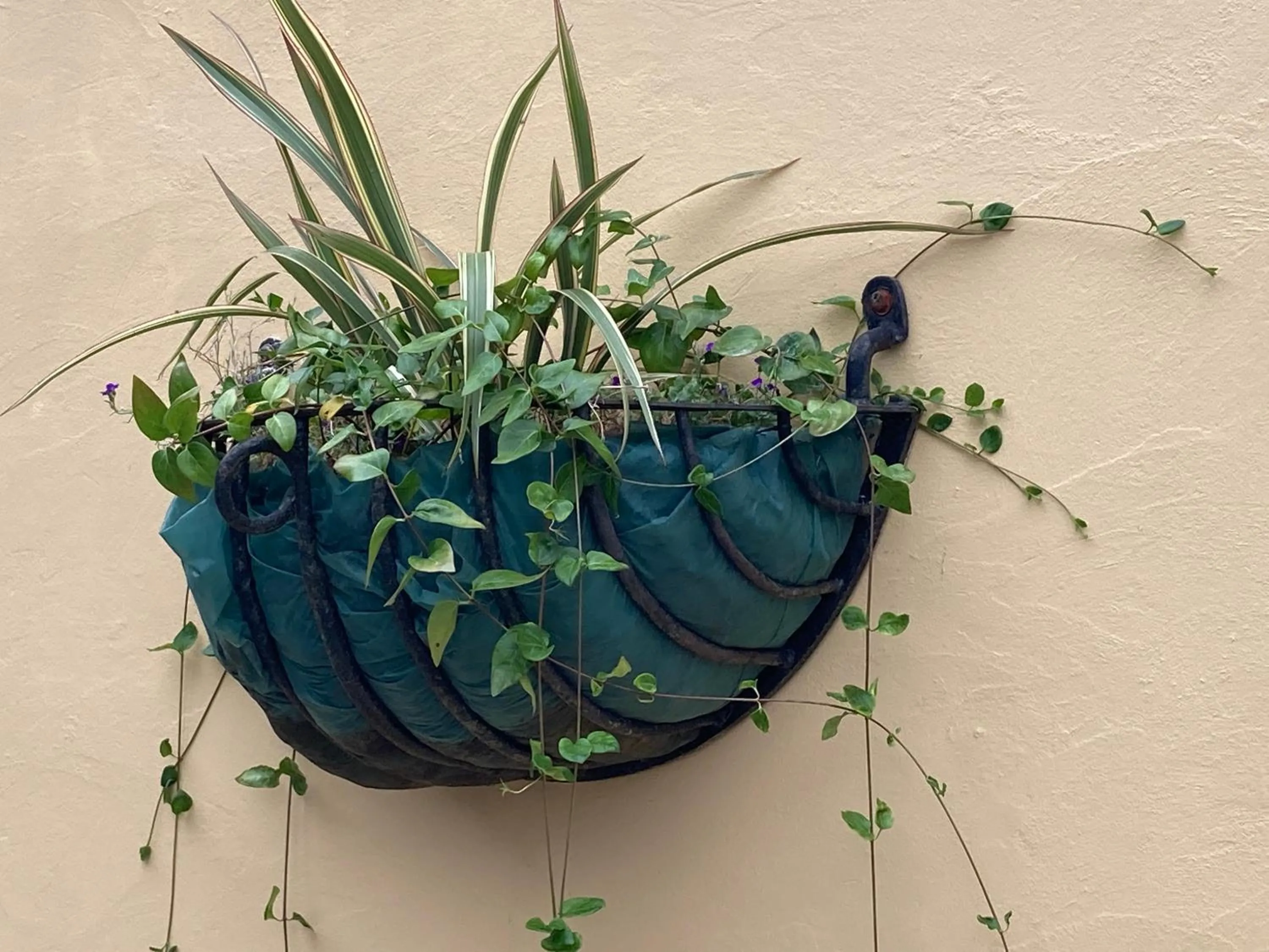 1 bedroomed Detached holiday retreat Pant