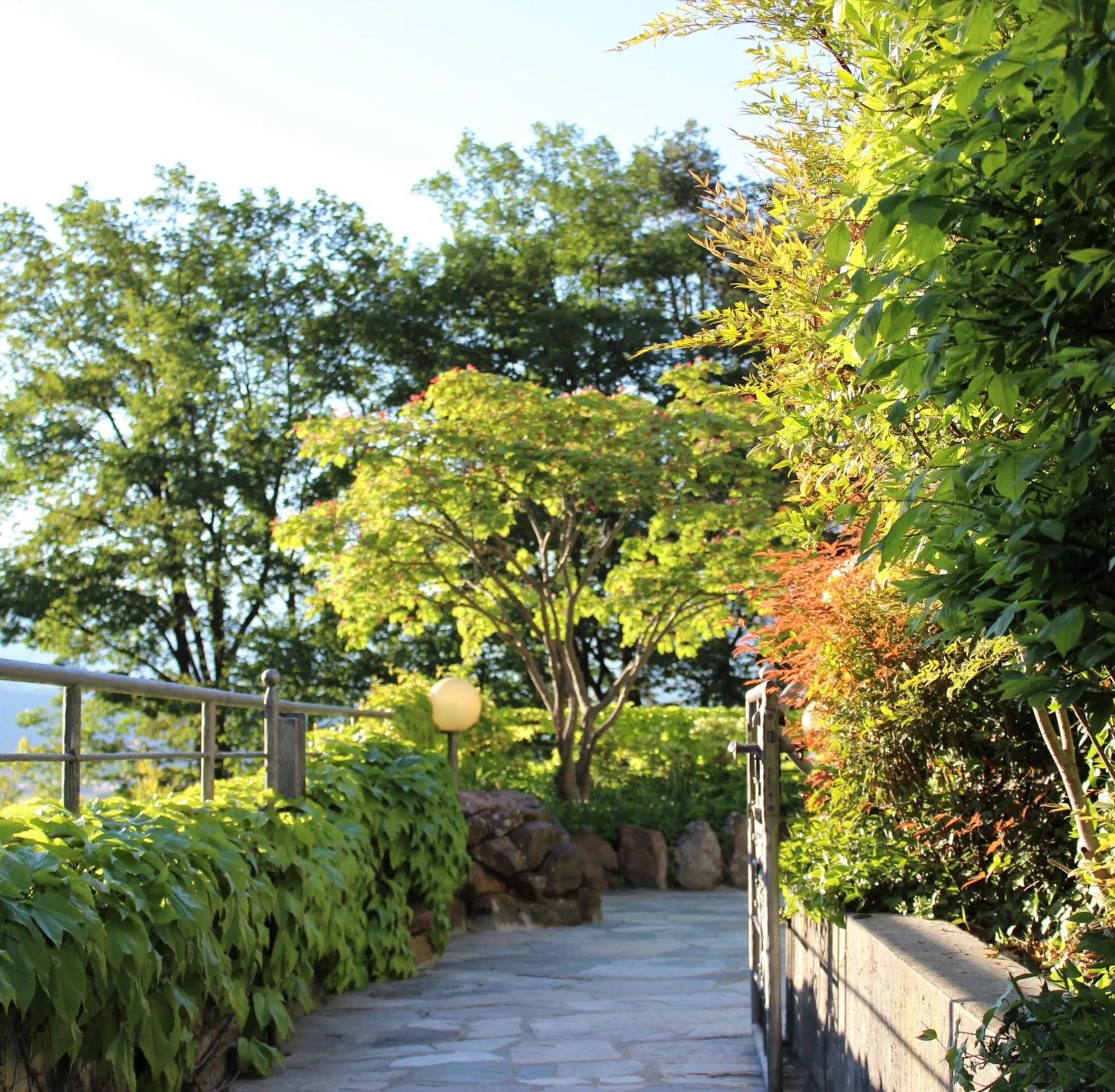 Garden in Hotel Rotwand