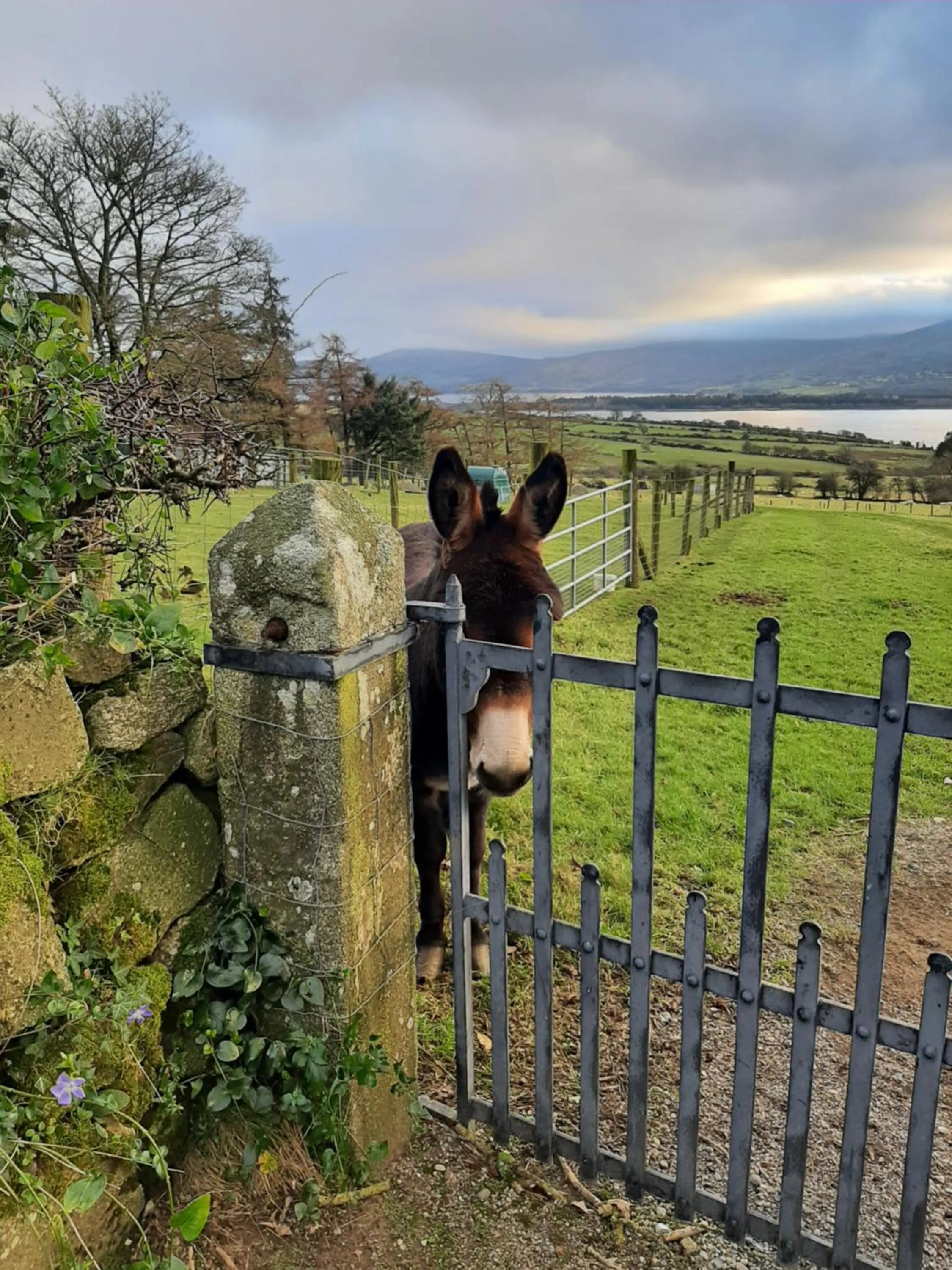 Bird's eye view in Abhainn Ri Farmhouse