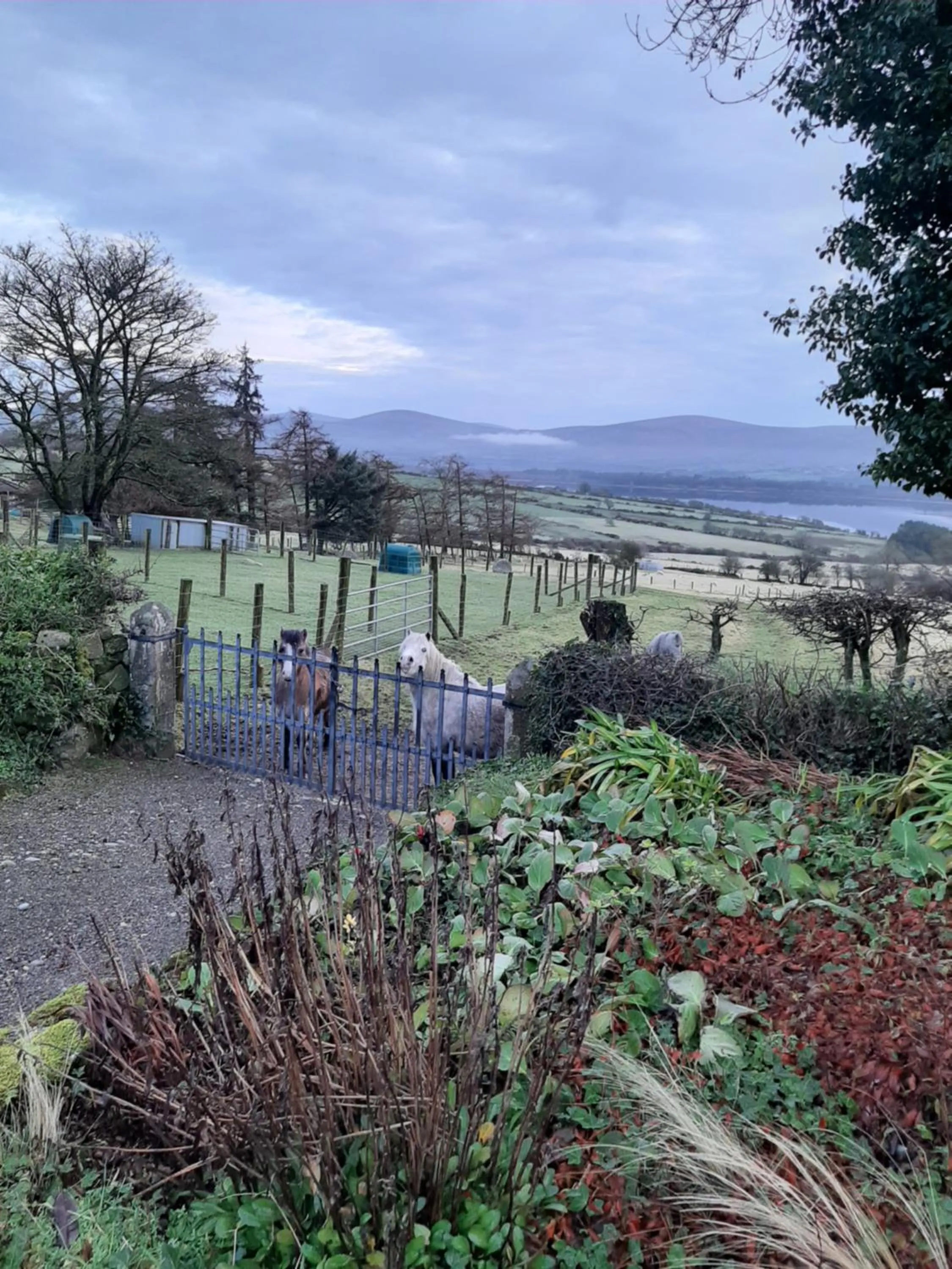 Garden view in Abhainn Ri Farmhouse