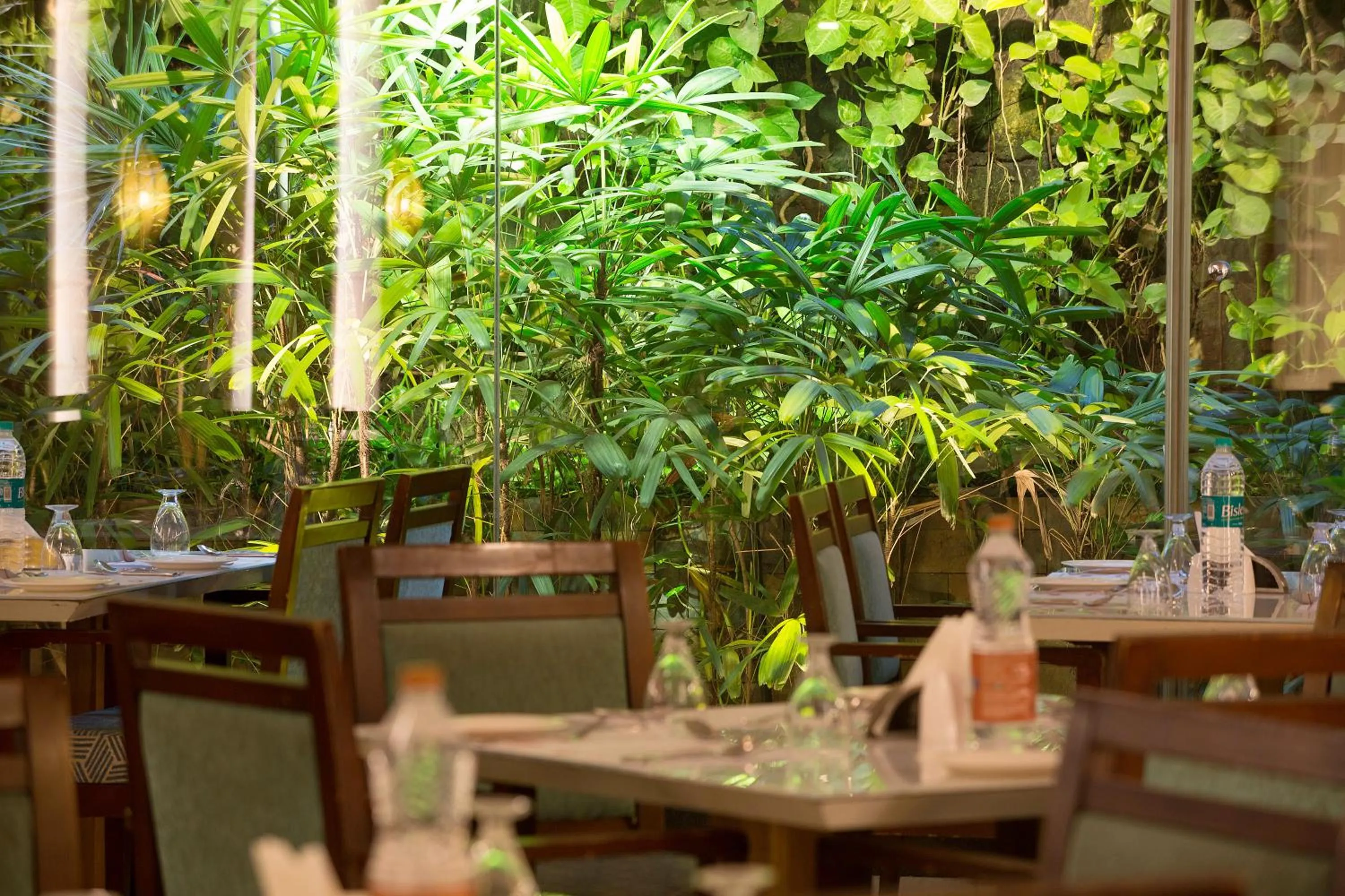 Restaurant/places to eat in Ramyas Hotel