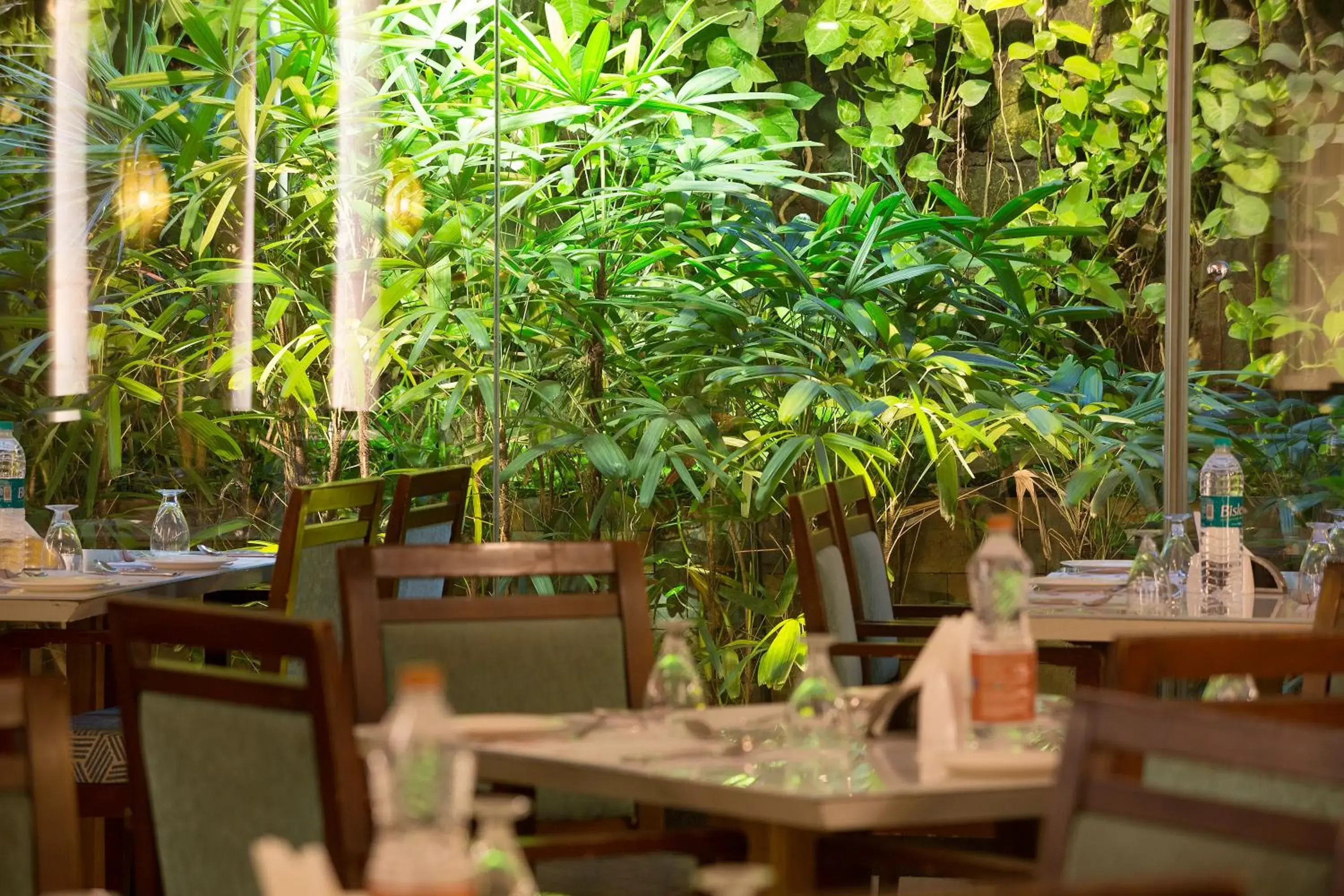 Restaurant/places to eat in Ramyas Hotel Restaurant/places to eat in Ramyas Hotel