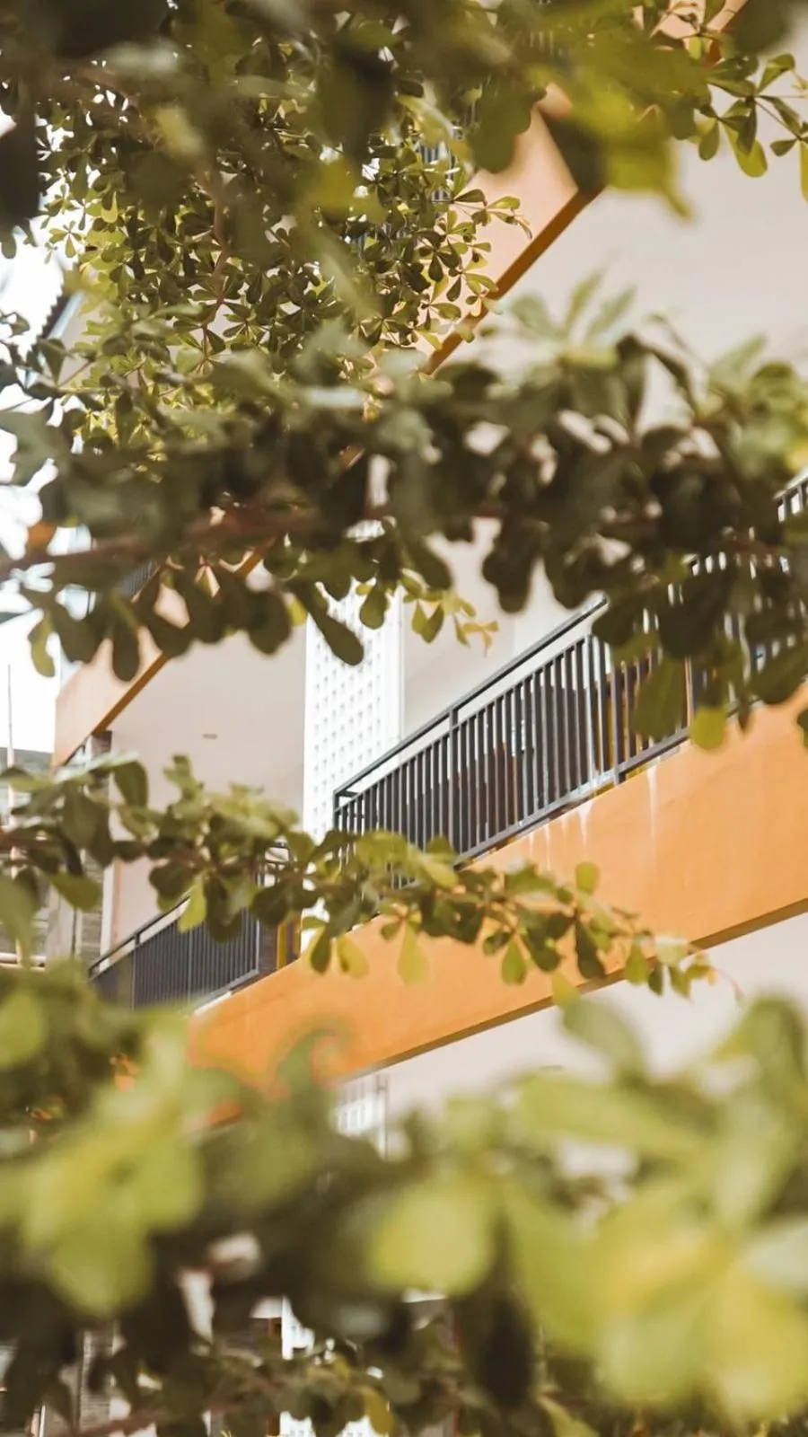 Property building in Hotel Kaliu