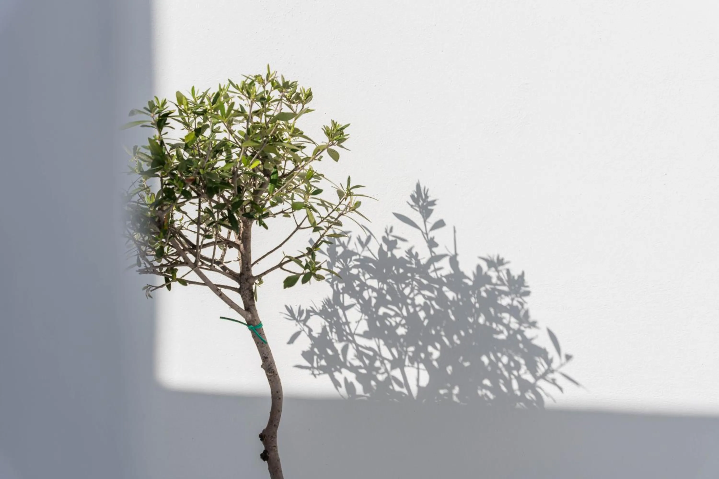 Property building in Cycladic Suites & Spa