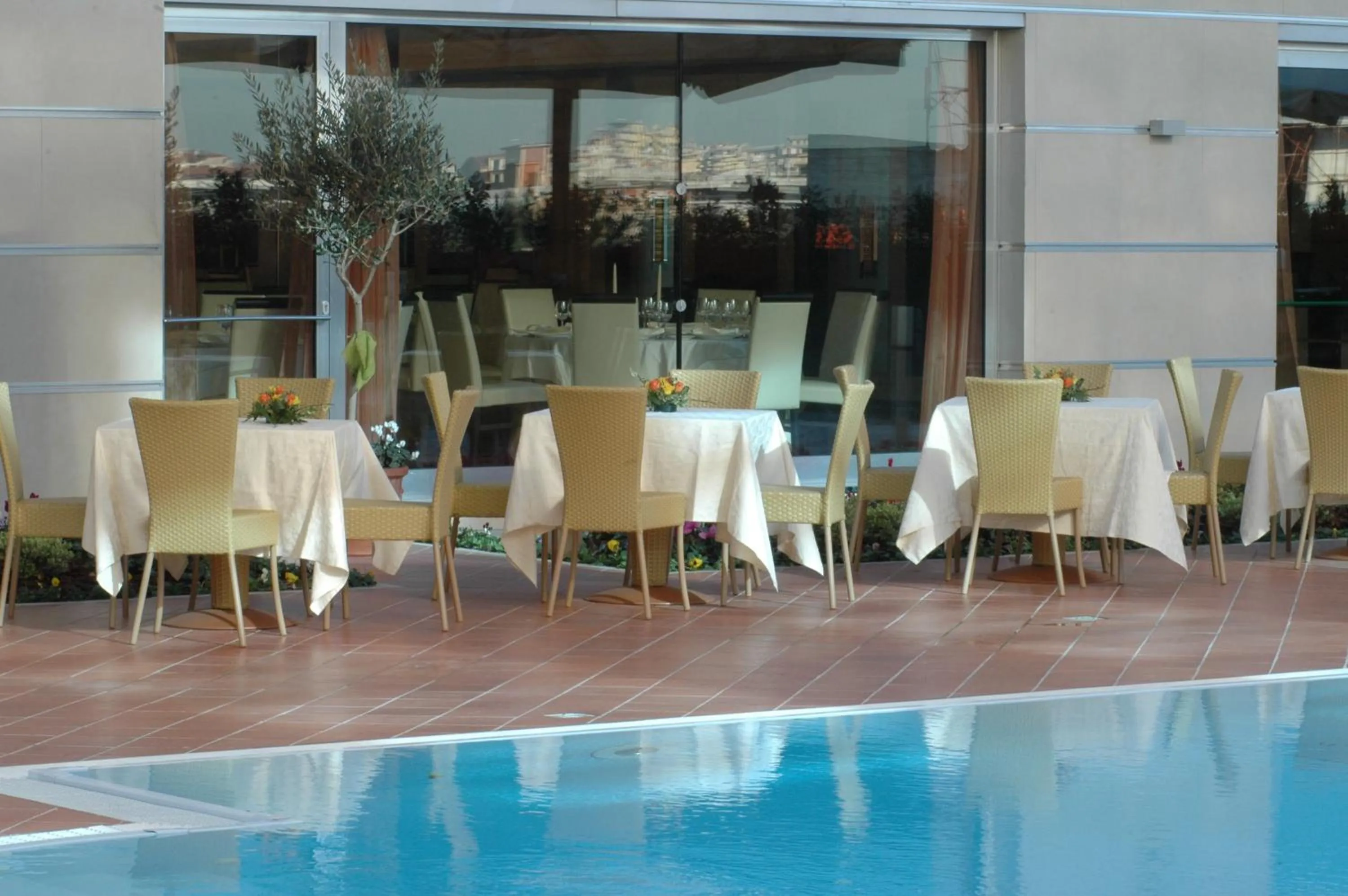 Garden in Hotel San Mauro