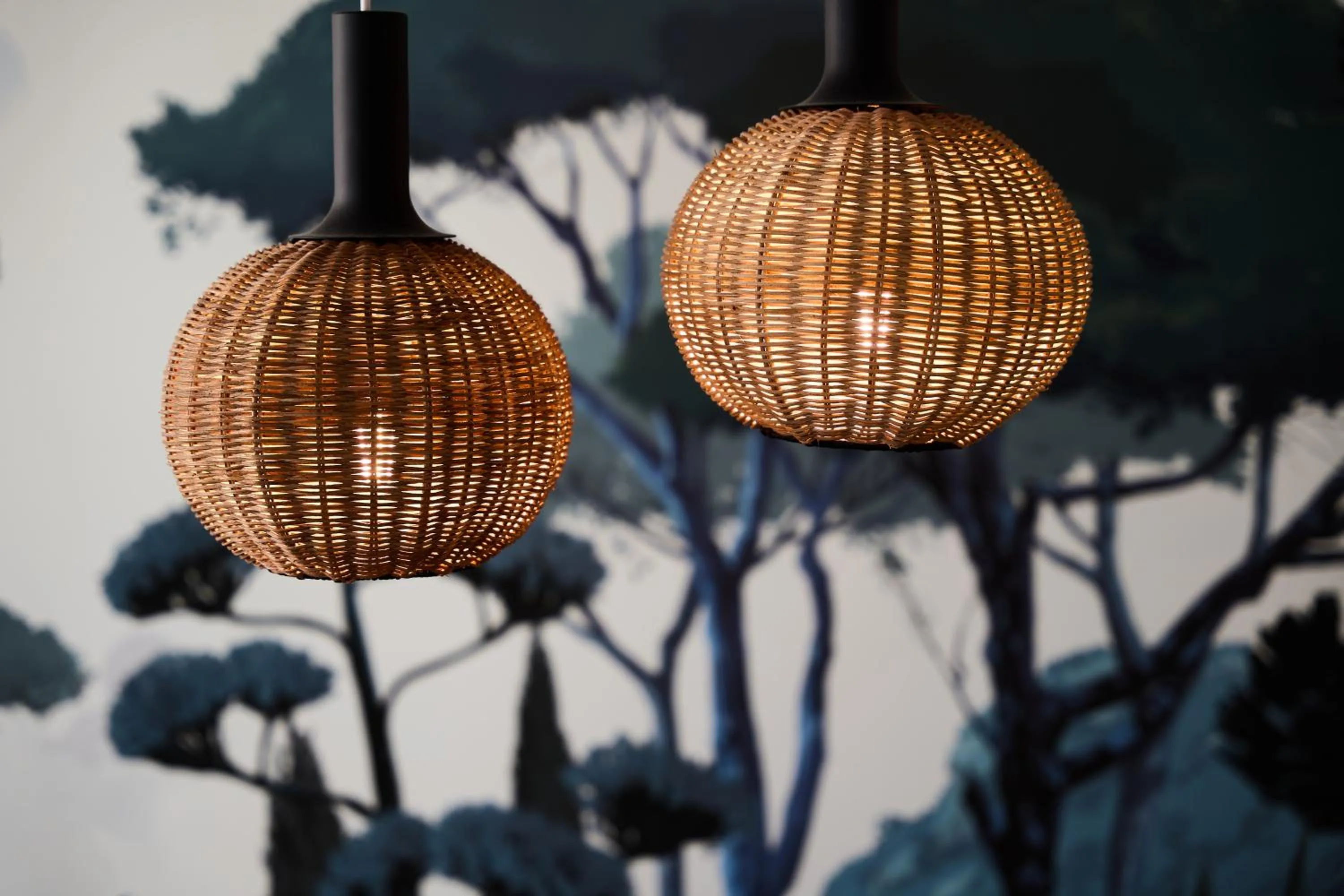 Decorative detail in Ando Living - Augusta House