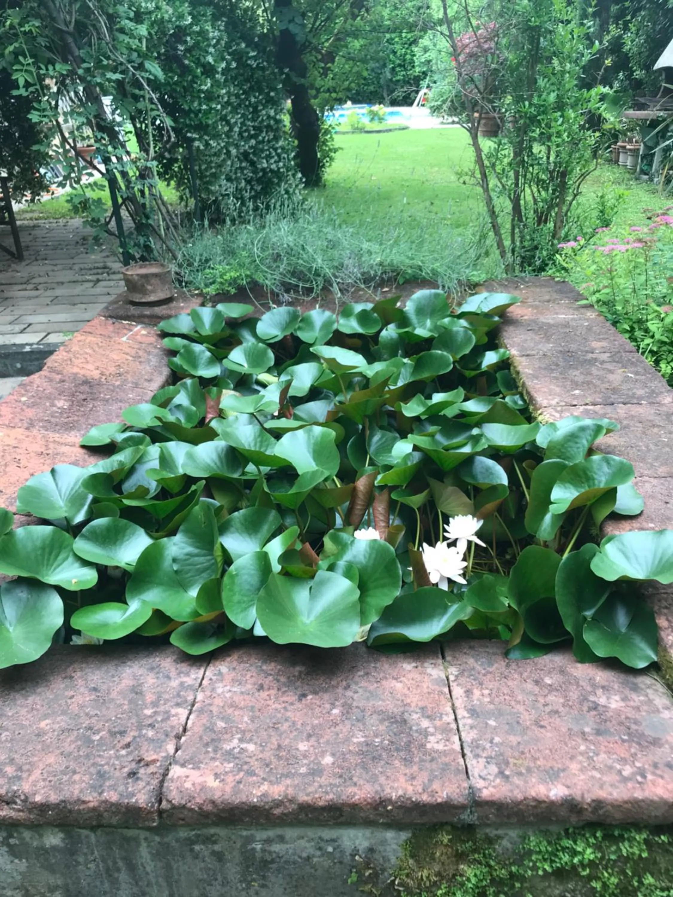 Casabiancalana Boutique