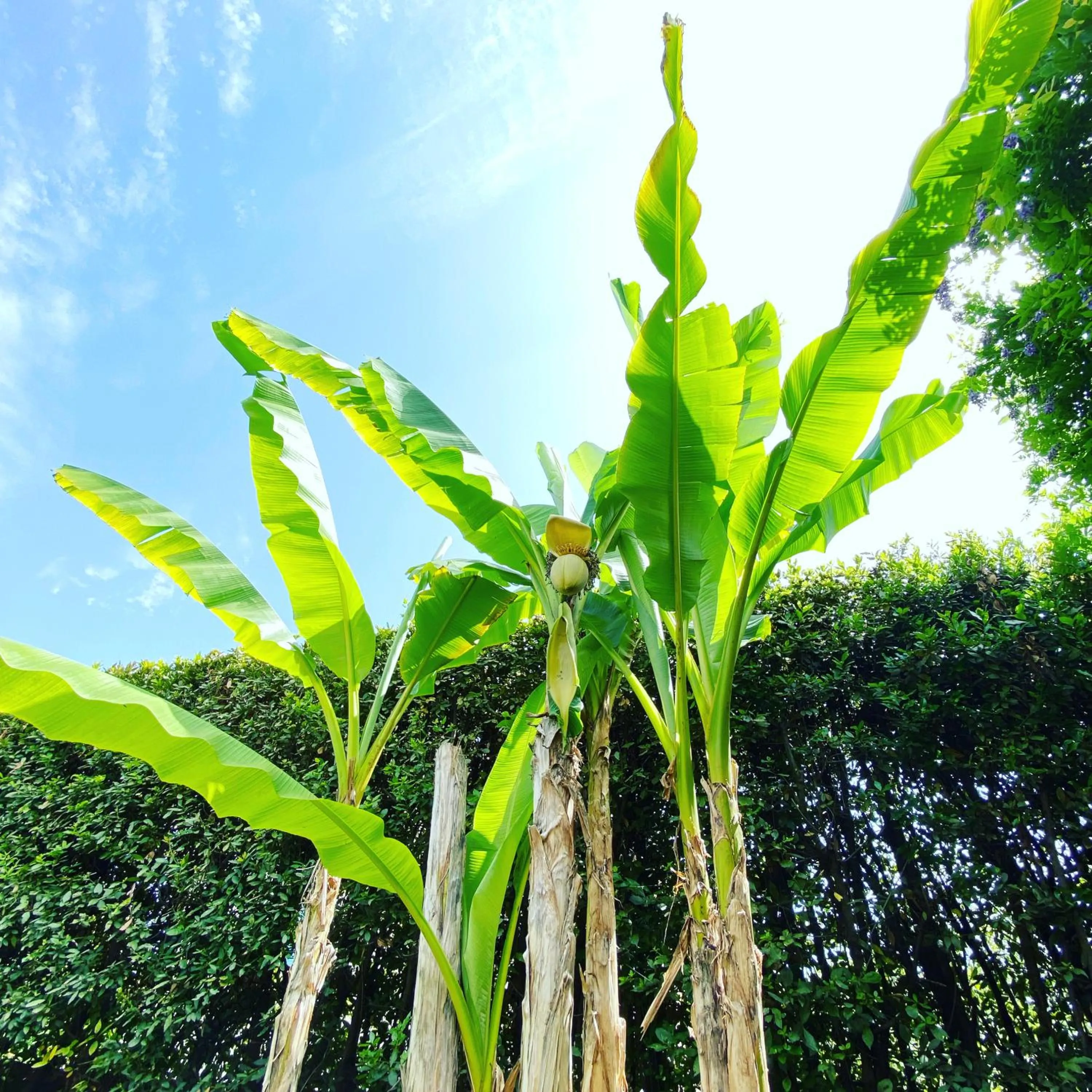 Casabiancalana Boutique